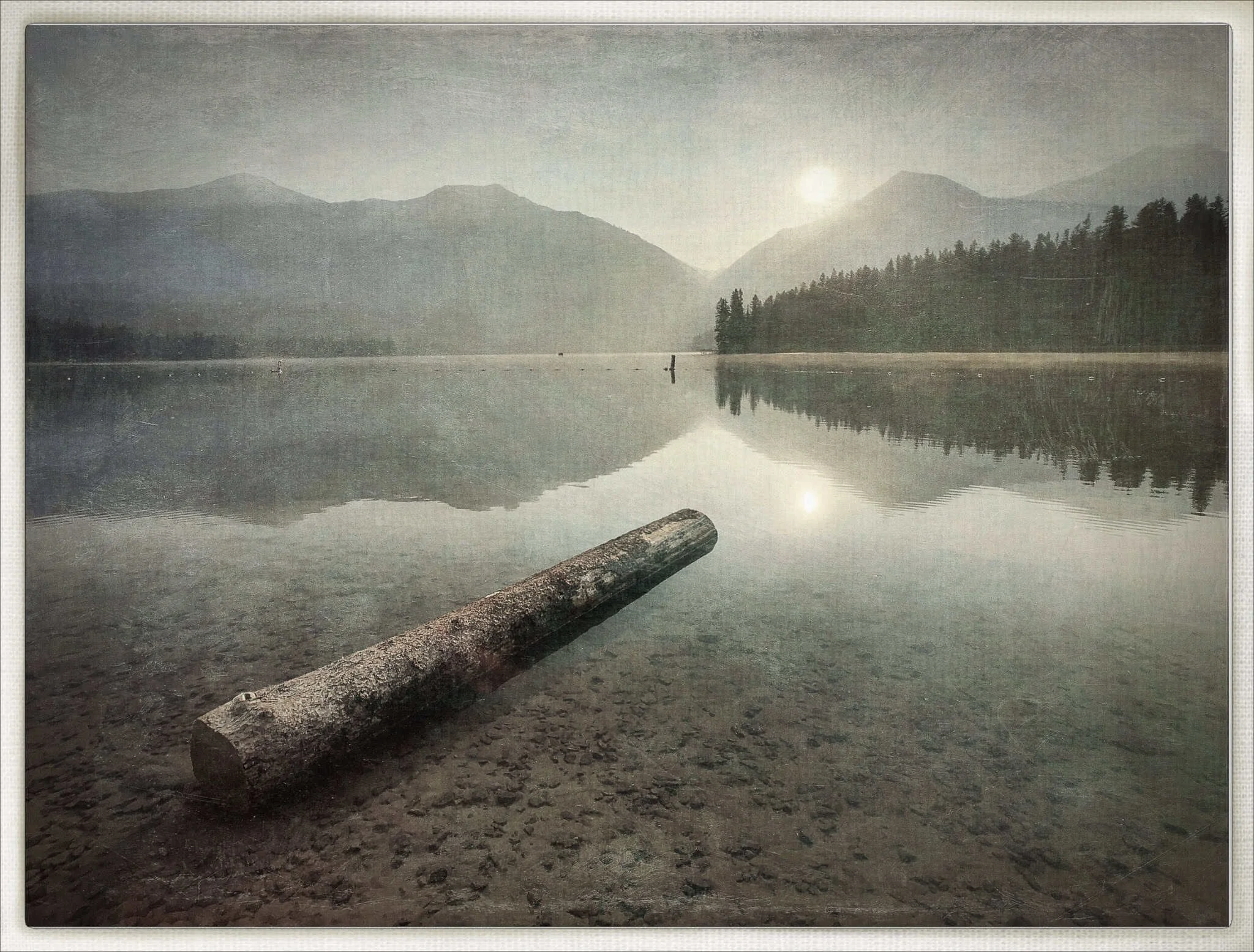 Log in Holland Lake, Montana.jpg