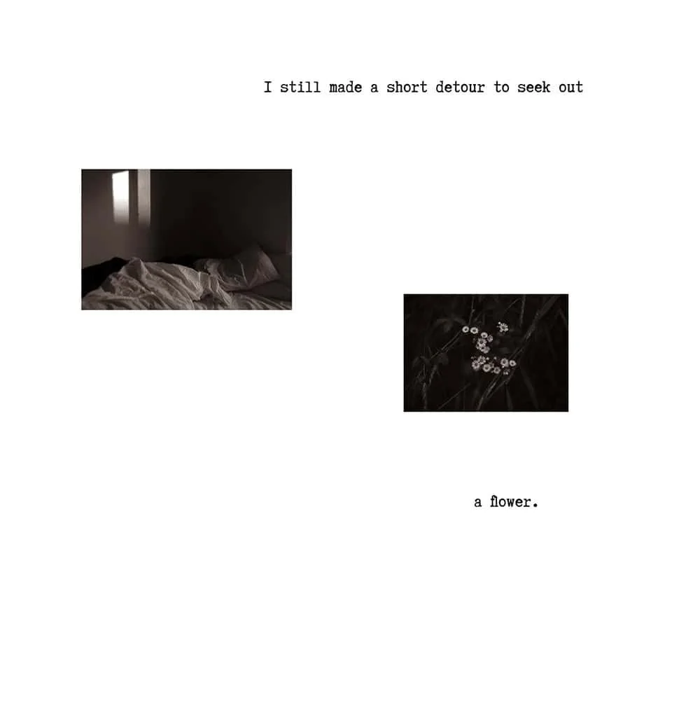 WordsandImages4_1.jpg