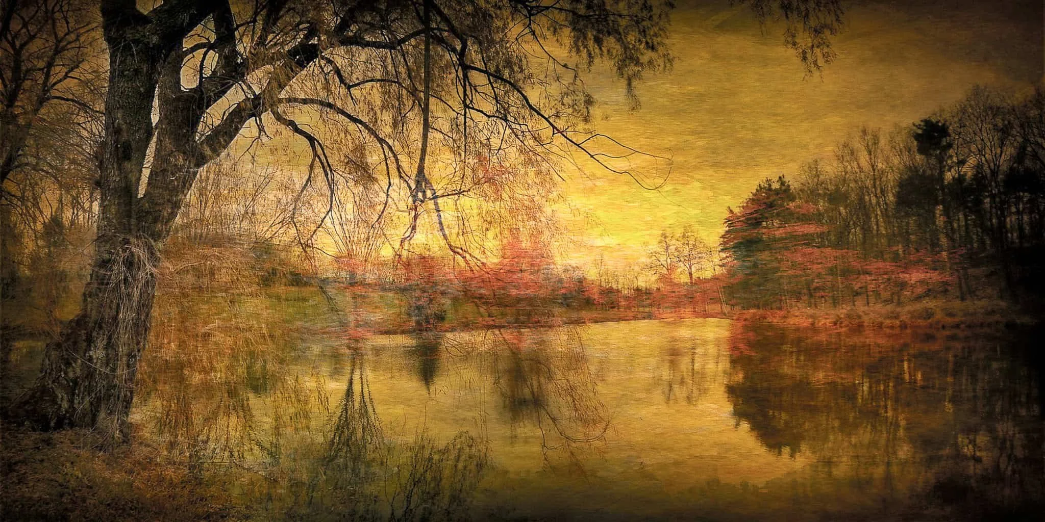 Tree and Pond in Fall, Hudson River Valley.jpg