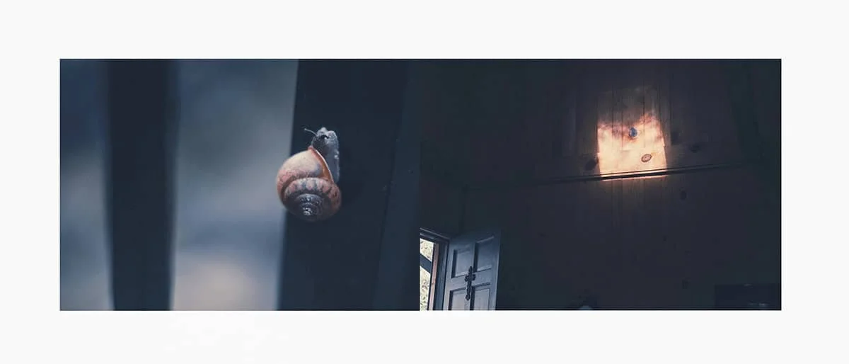 Diptych4.jpg