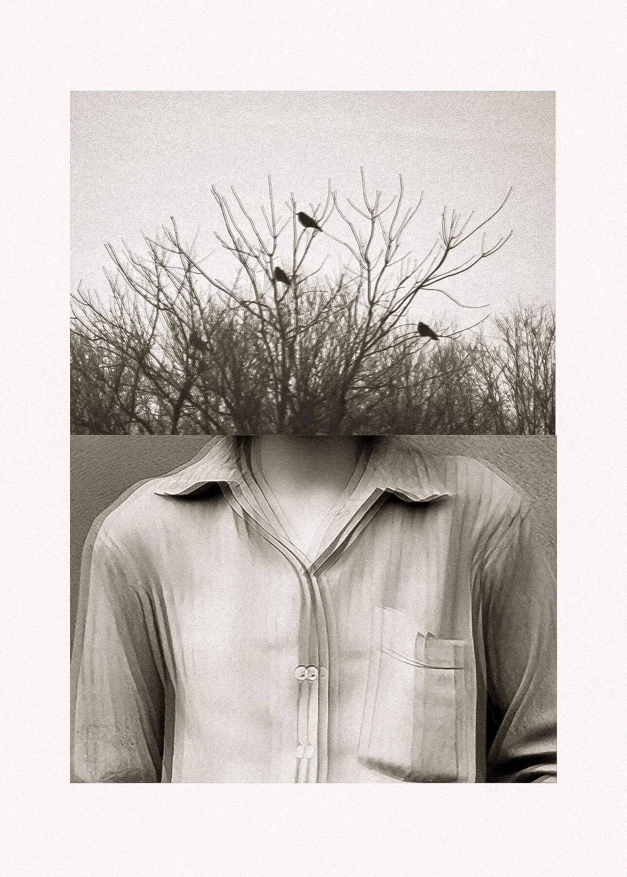 Diptych2.jpg