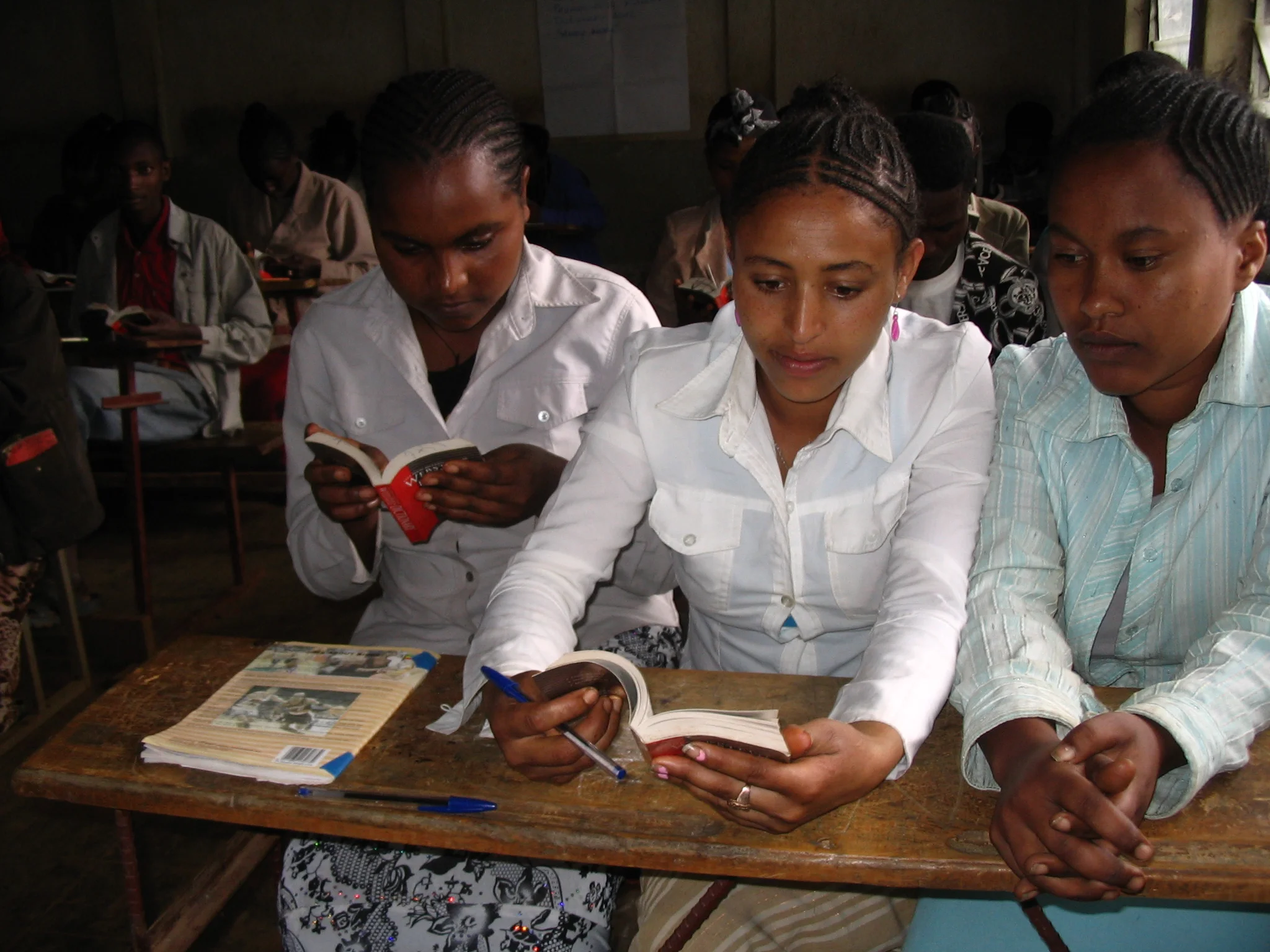 Shekkacho Partnership Offering