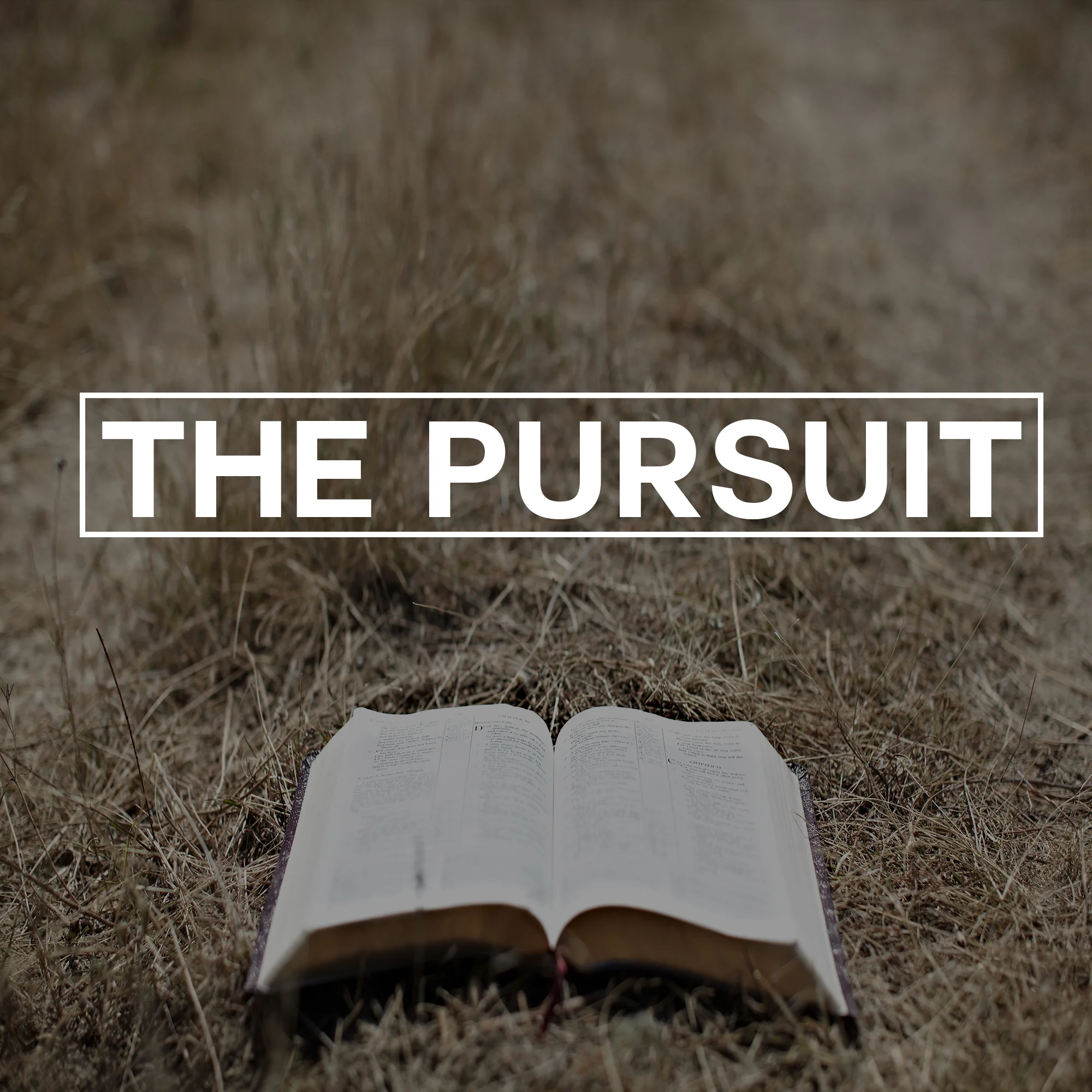 The Pursuit