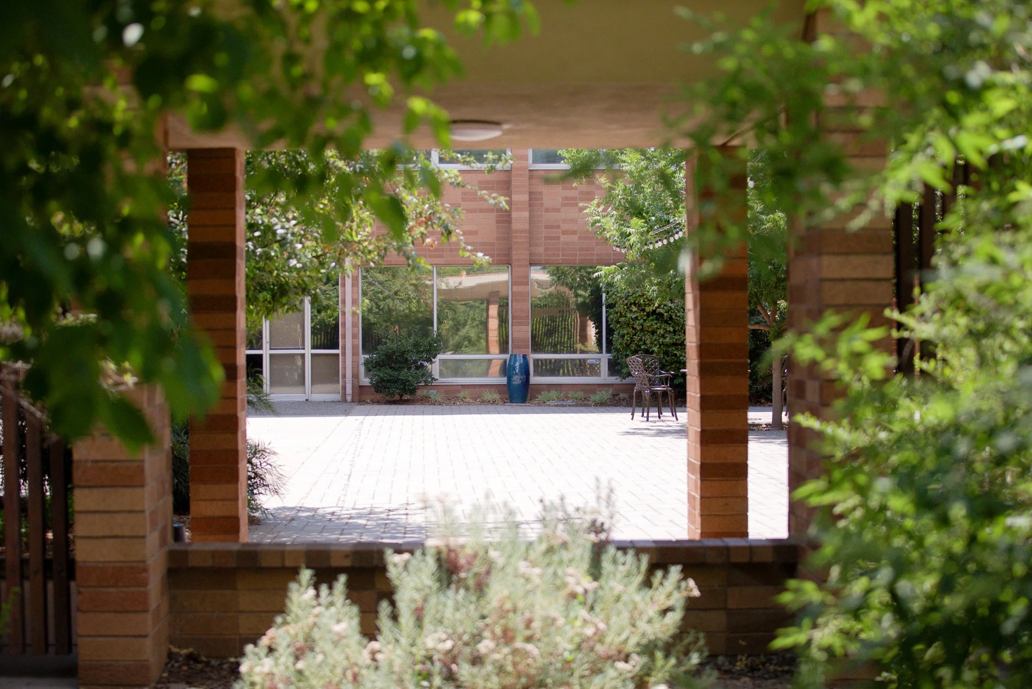 Campus2-2.jpg