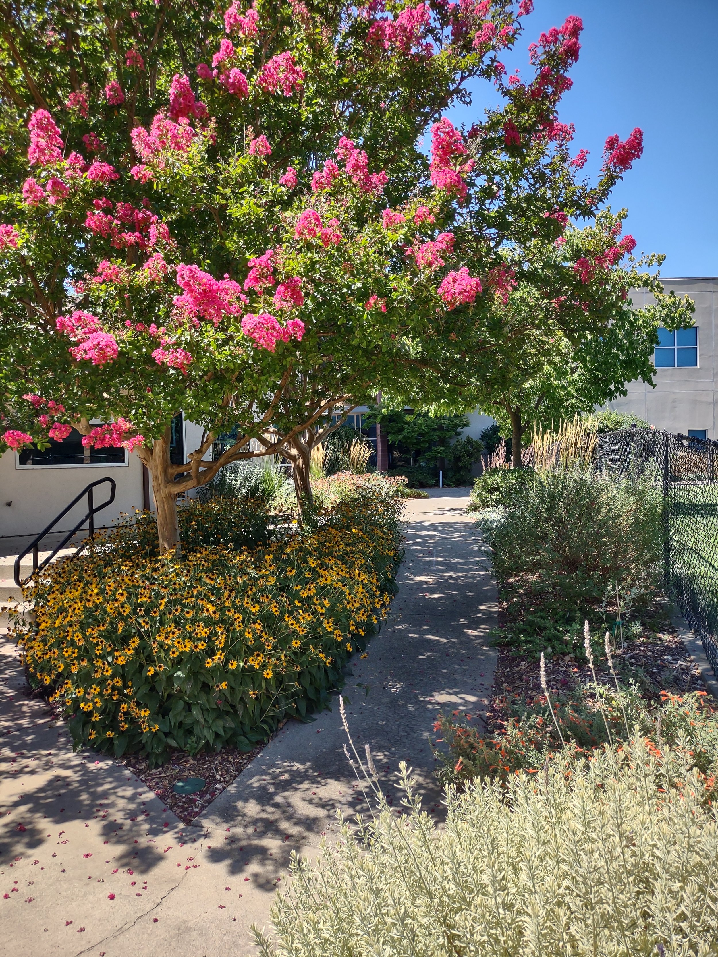 IMG_20230817_123937536_HDR.jpg