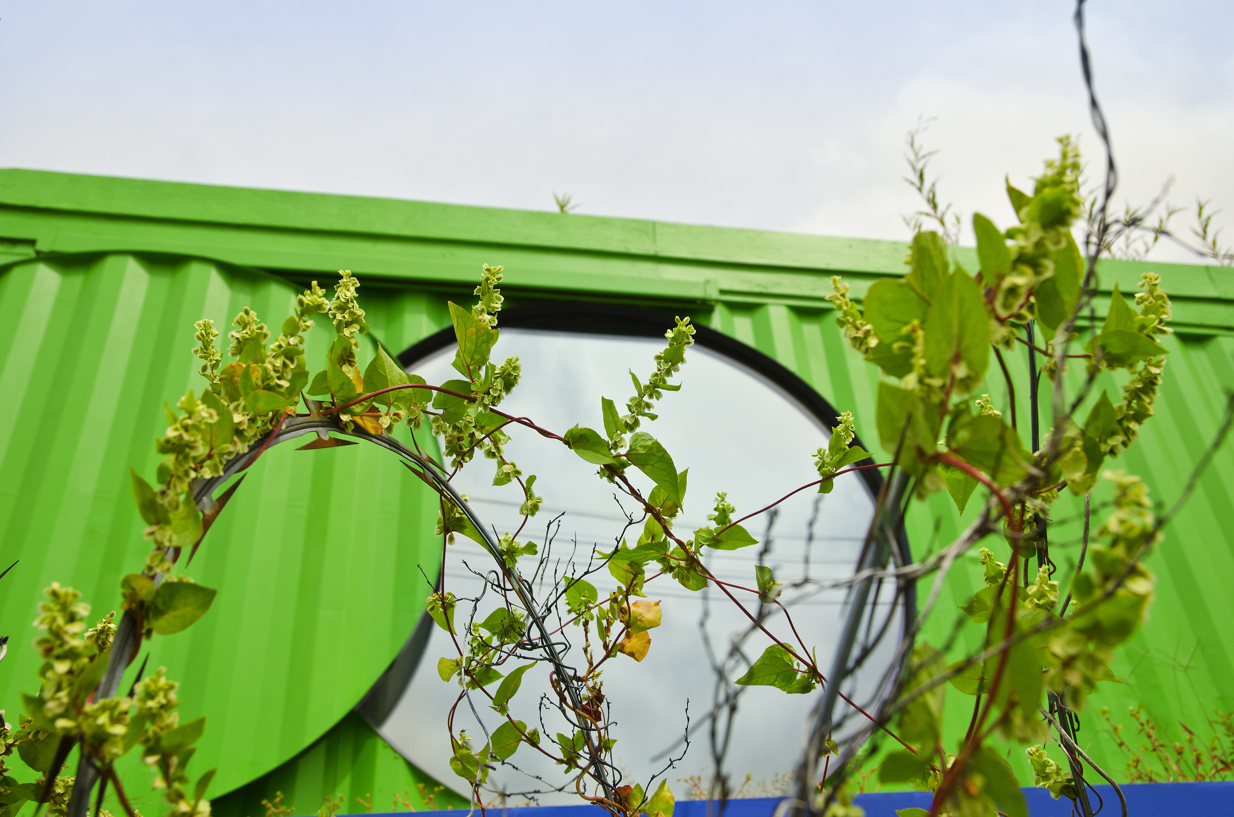 The green roof absorbs rainwater and provides insulation, allowing the containers to be warmed or cooled with less energy.