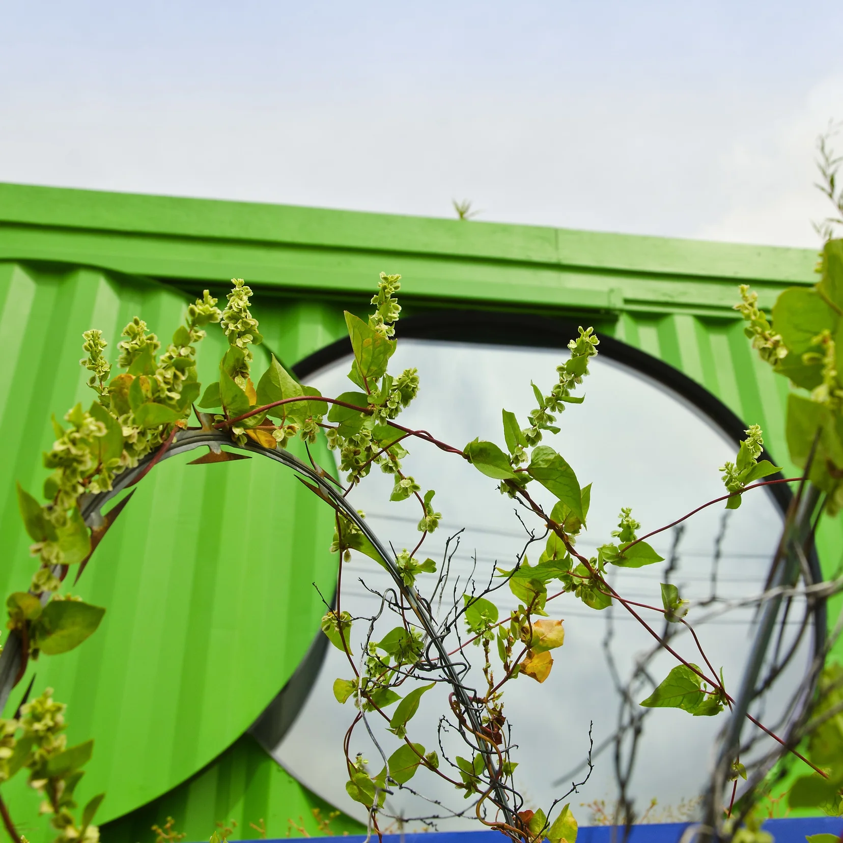 PRESS FEATURE | HUFFINGTON POST