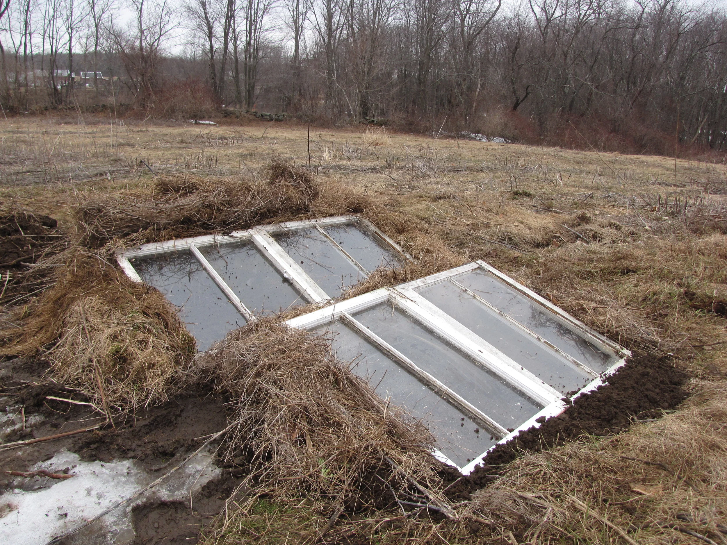 Spring is Finally coming!