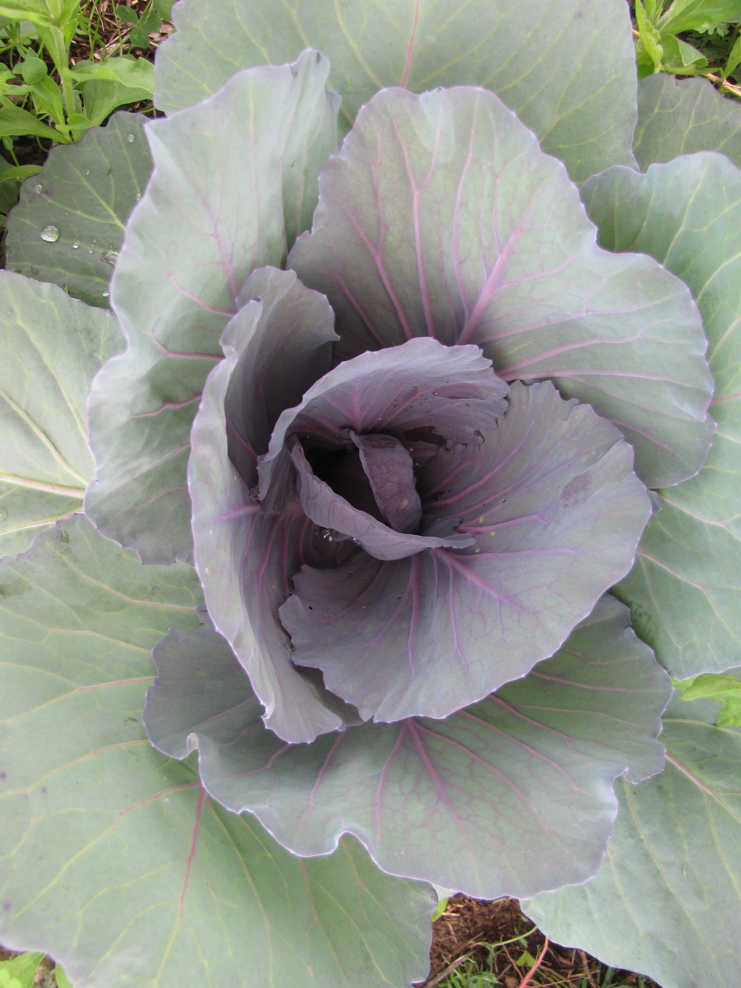 Summer is in full swing!