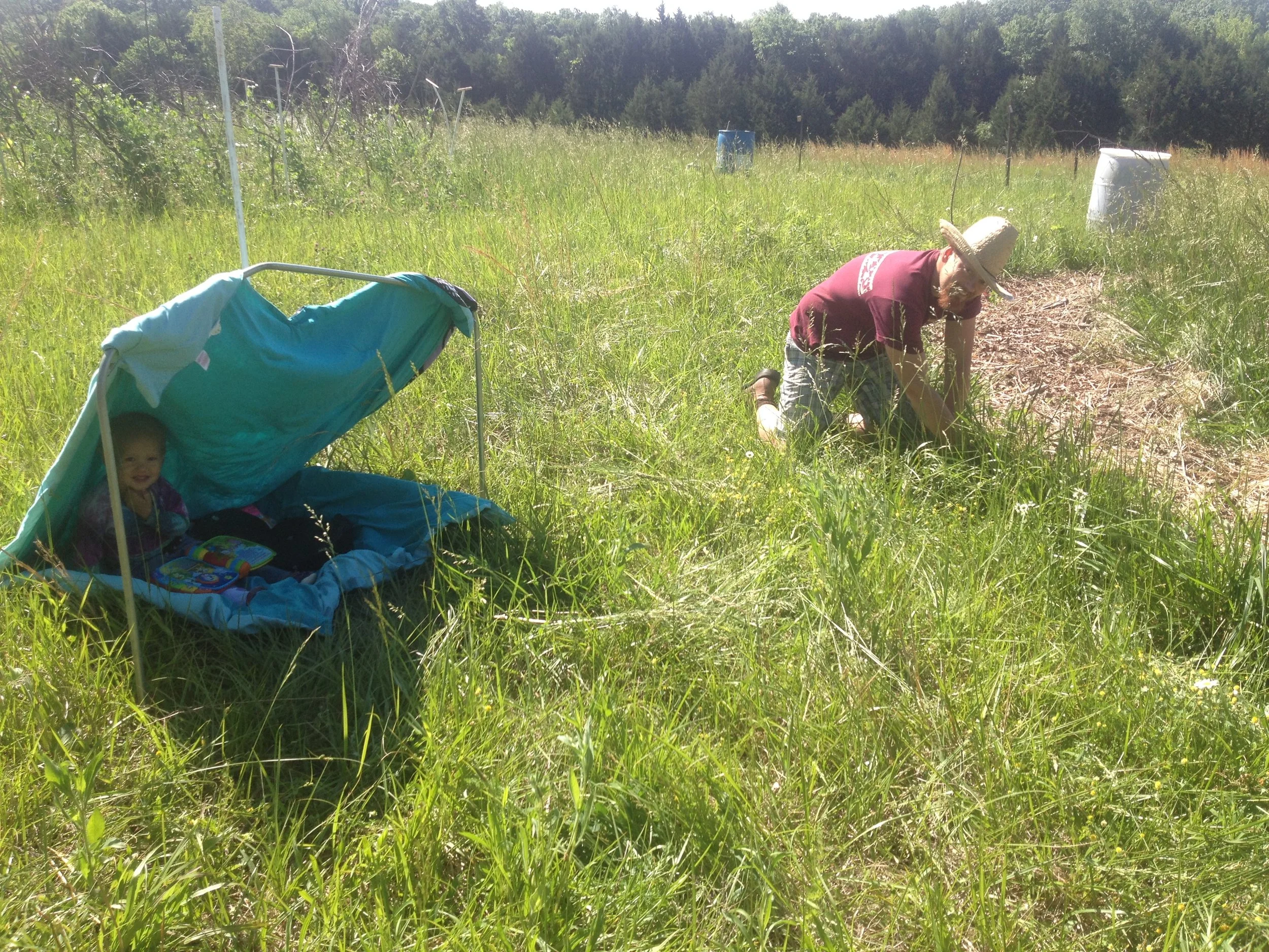 Our Farm Share is starting!