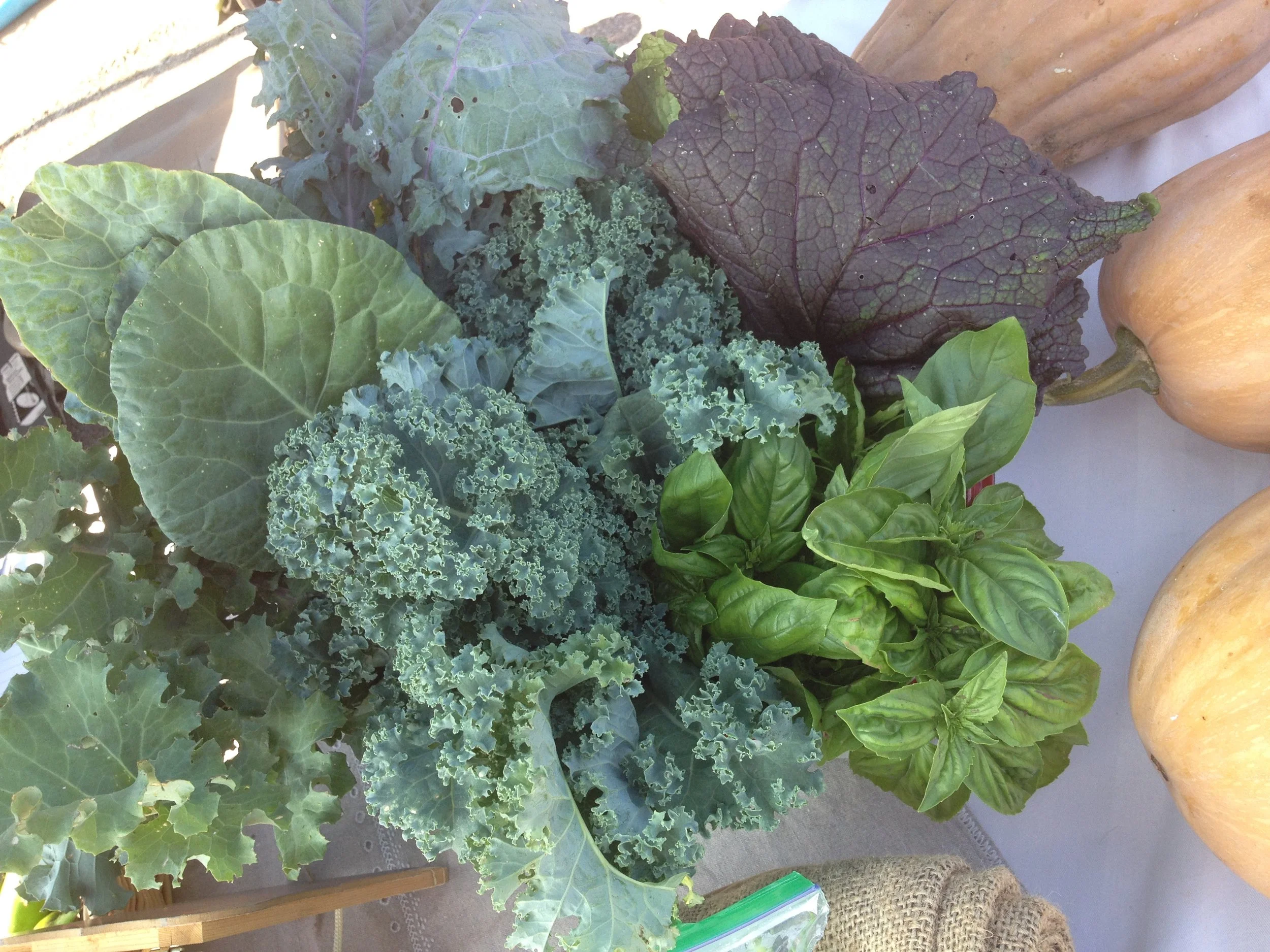 Farm Share Reservation