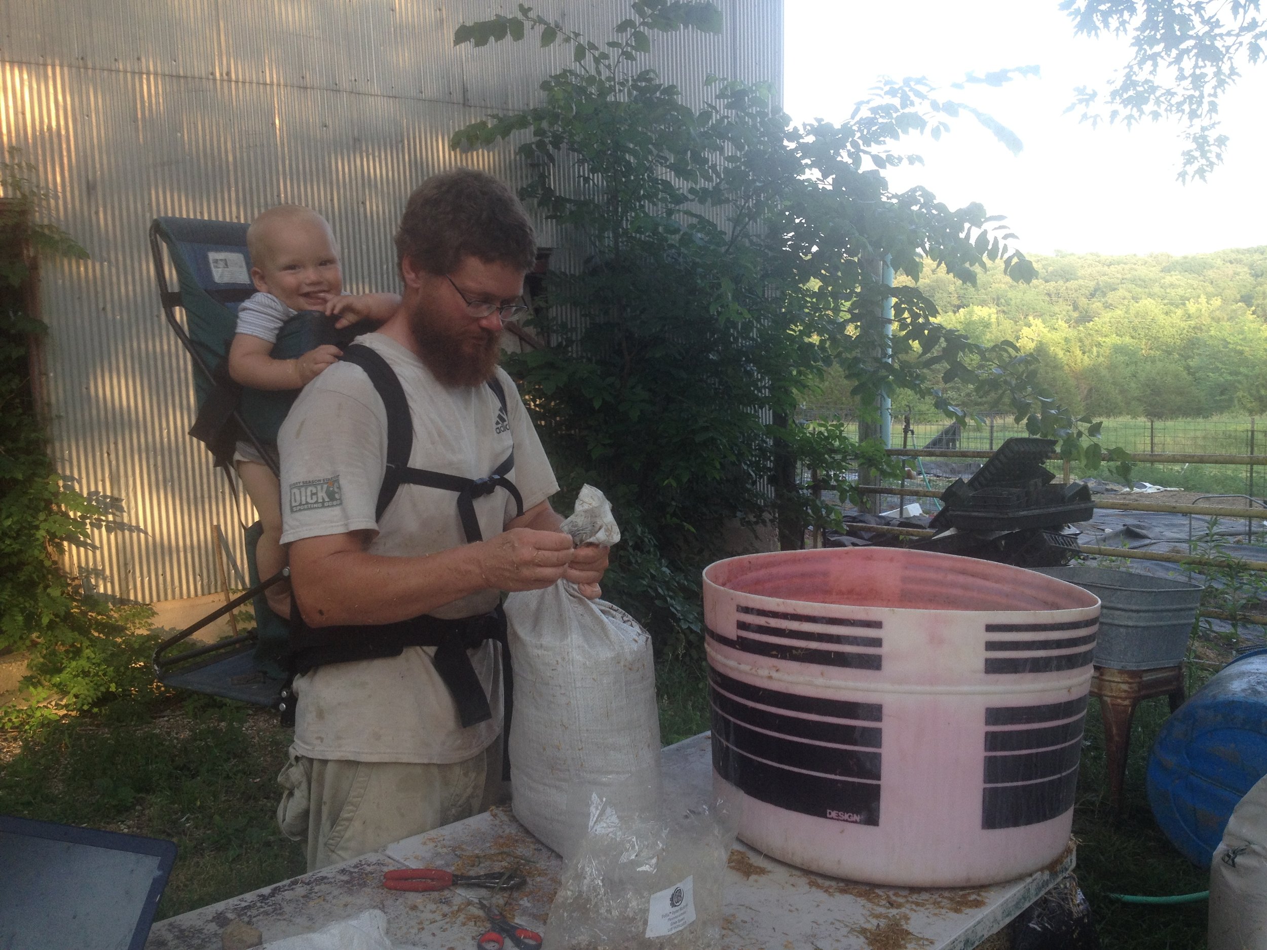 Oysters are spawning!