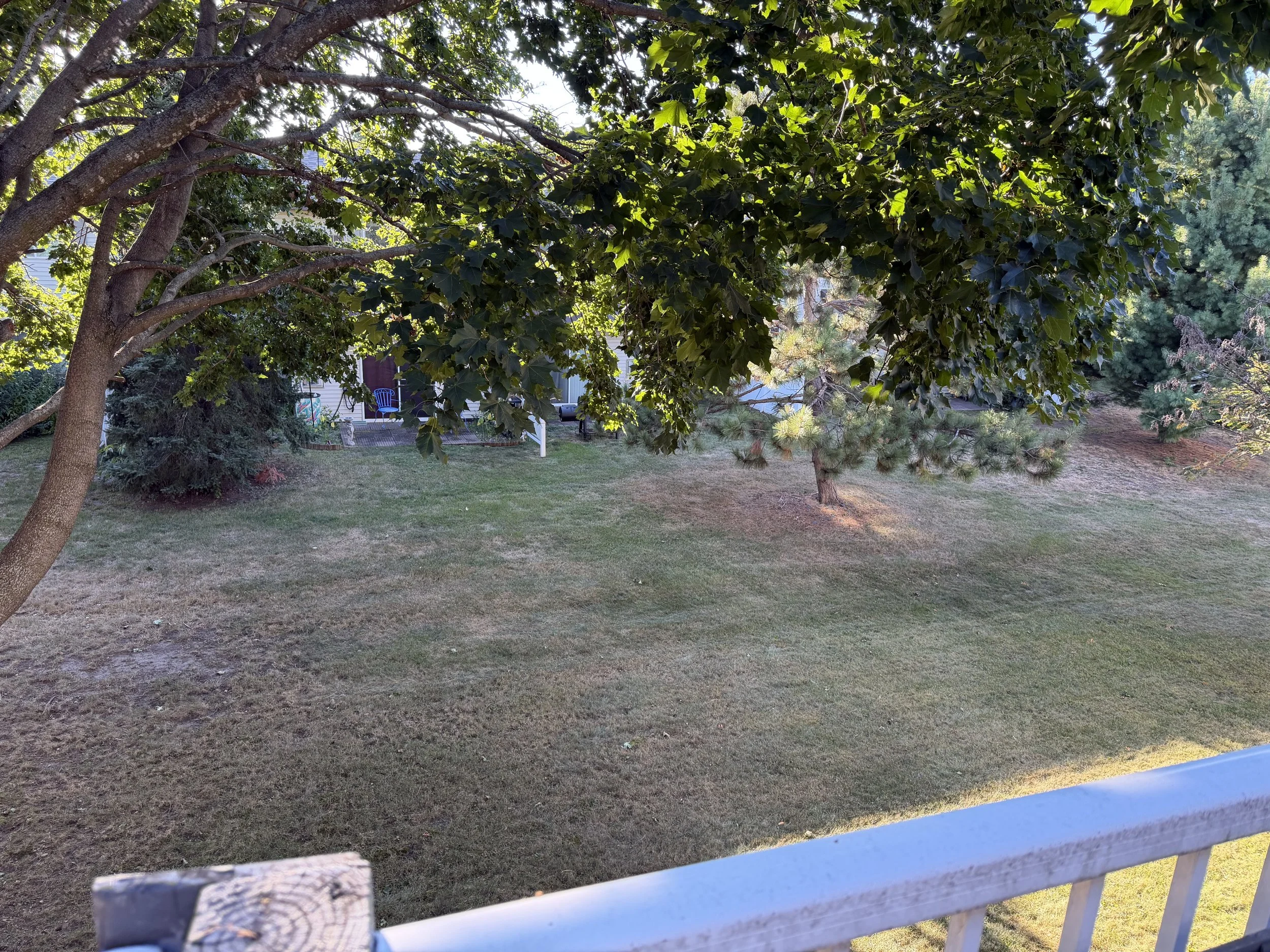 IMG_2045.jpeg