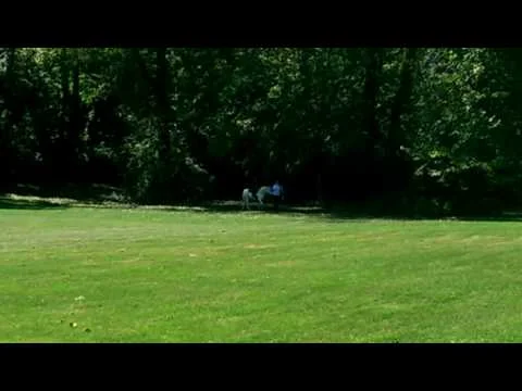 VID 20160925 140353 (Copy)