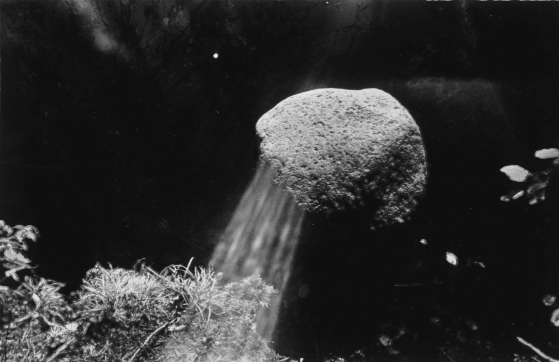 Rock