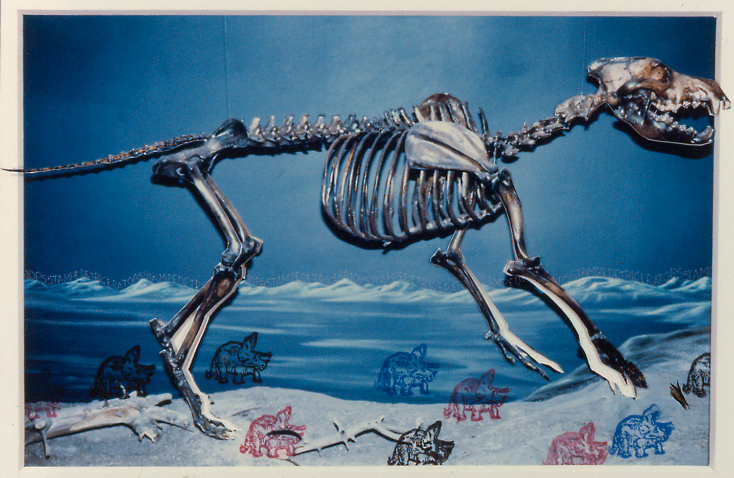 Triceratops Stampede