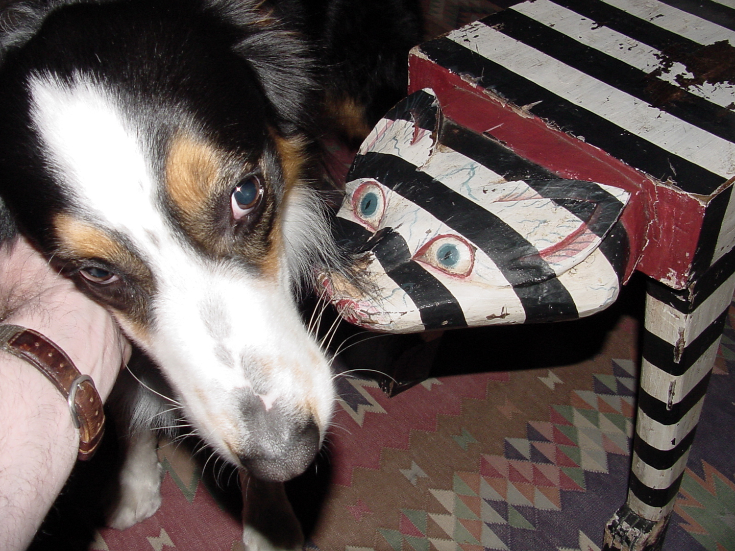 Gussy