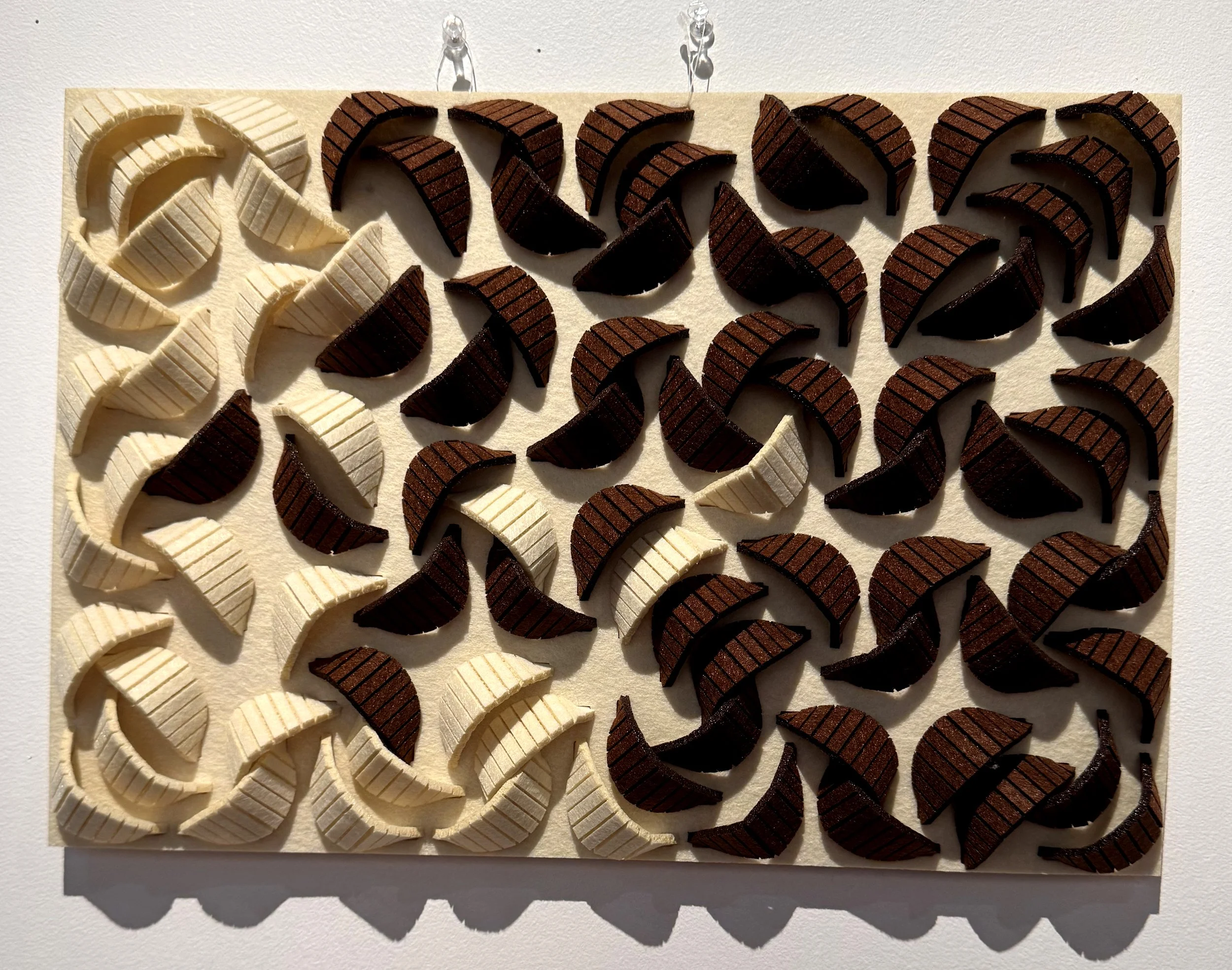 chocolateshells.jpg