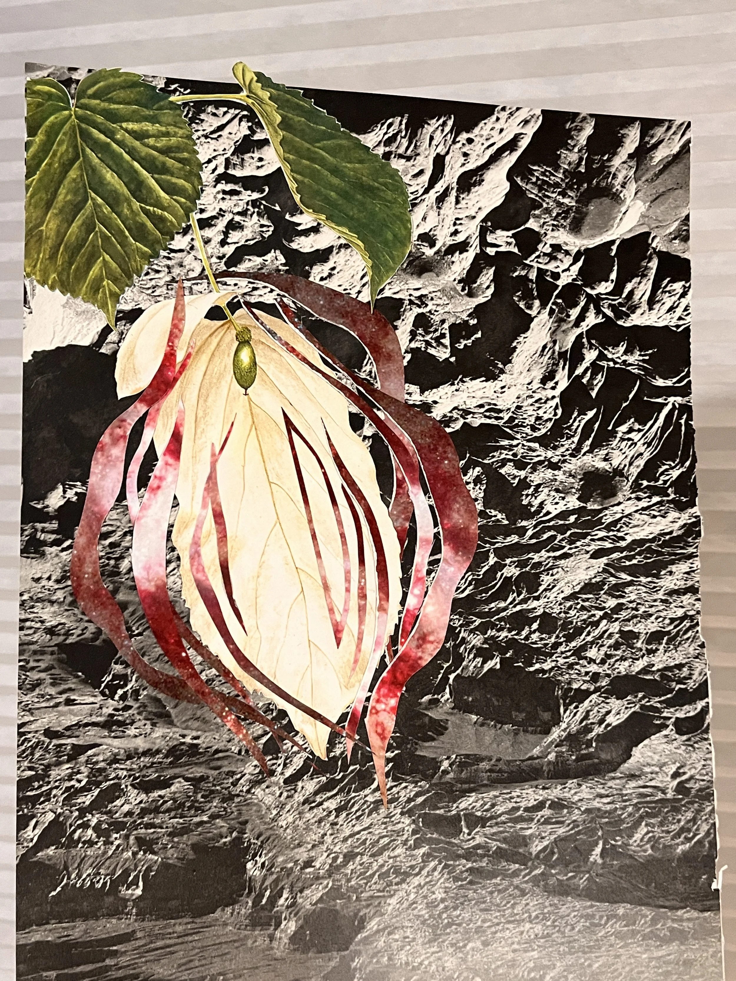 forbidden fruit.jpeg