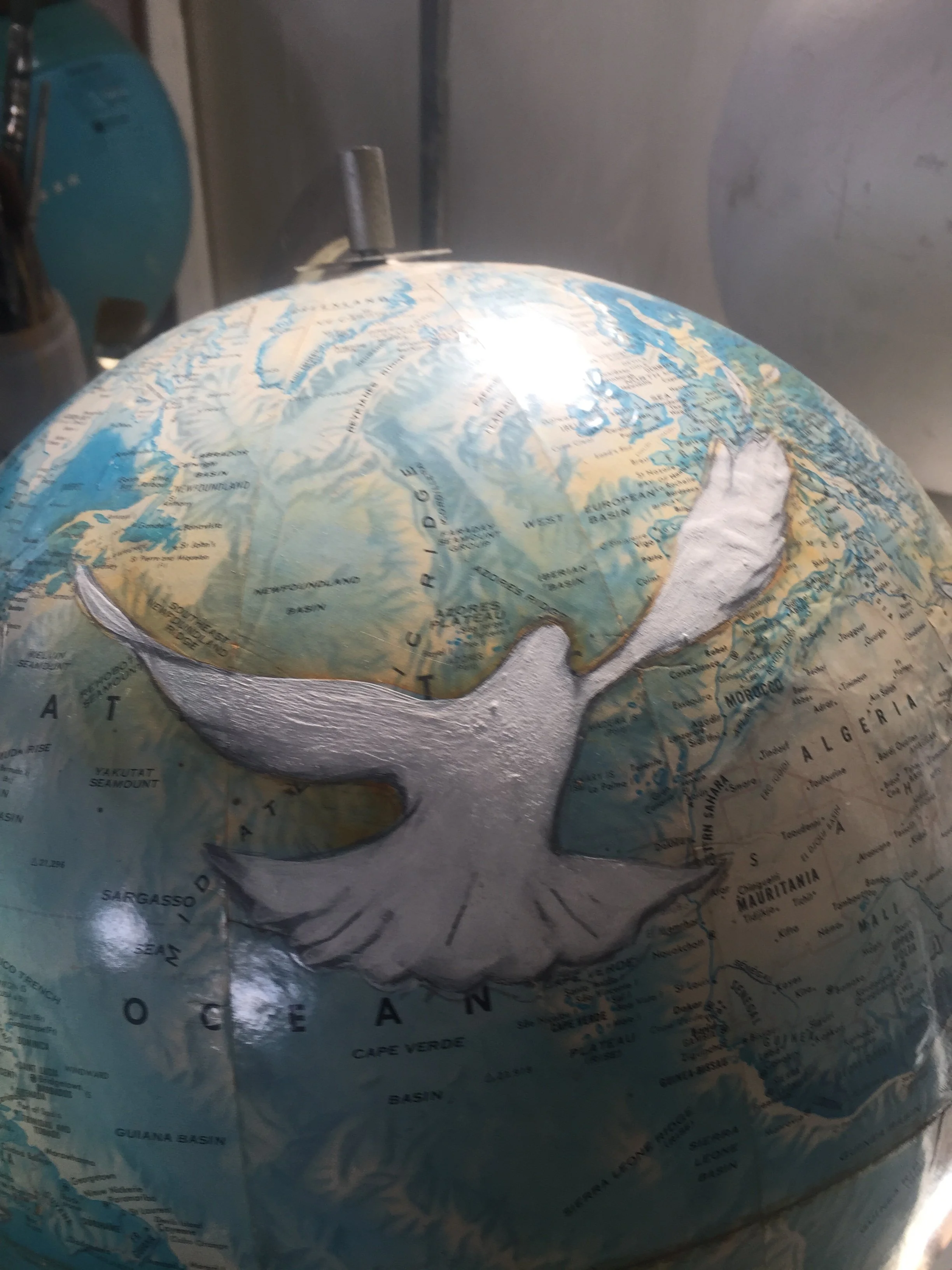 IMG_0105 (1) copy.JPG