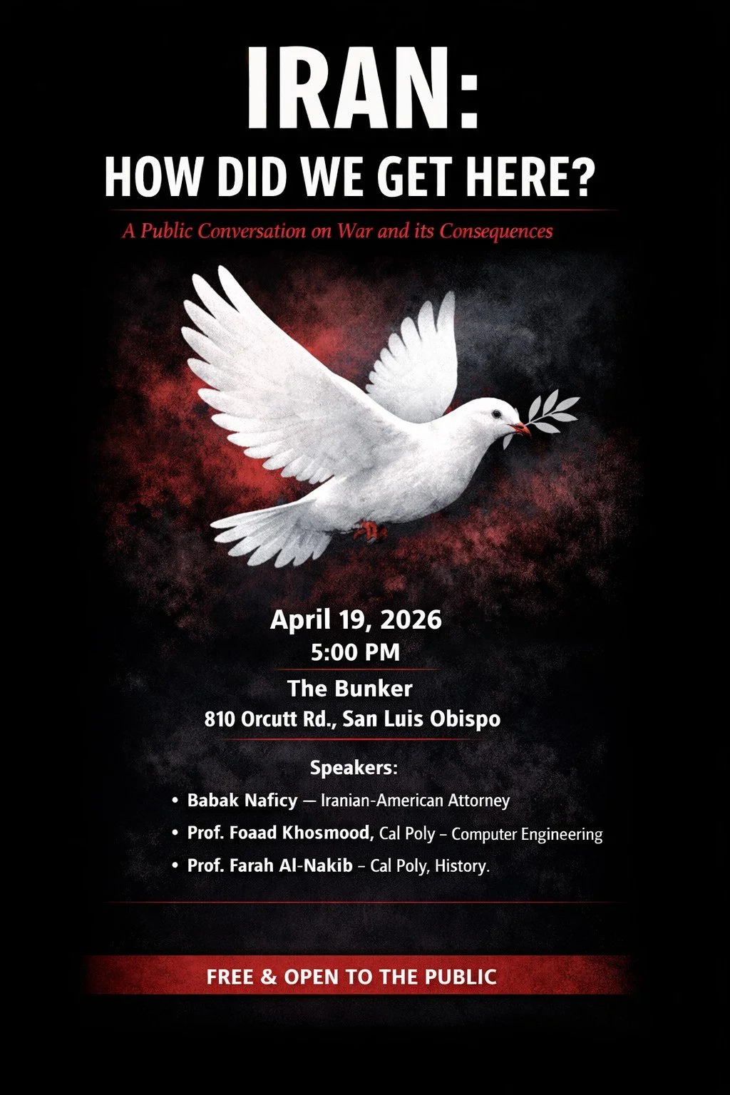 IRAN: How Did We Get Here