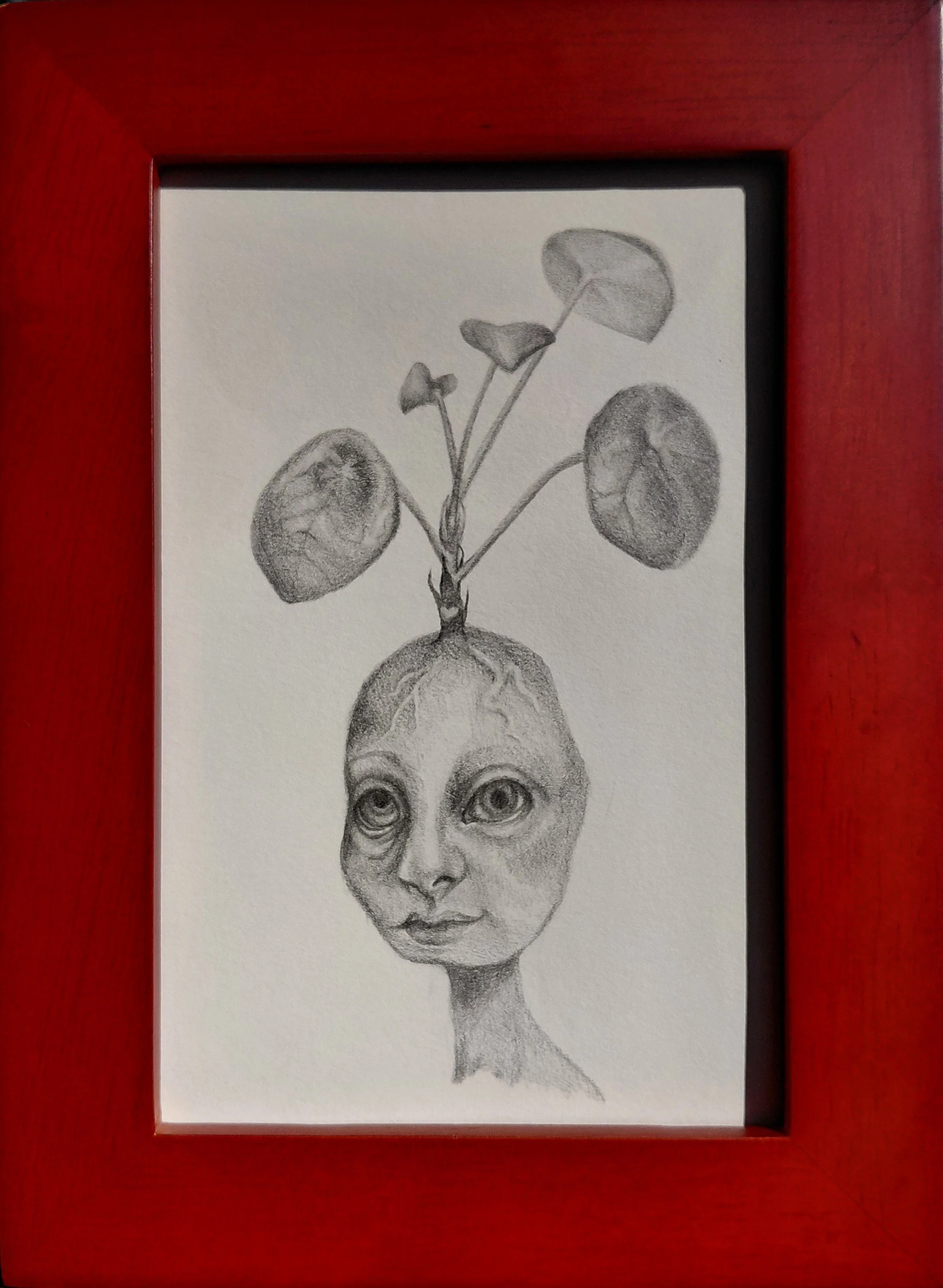 JuliaNeils_7.5x5.5_TheGrowingMindofMsPeperomioides.jpg