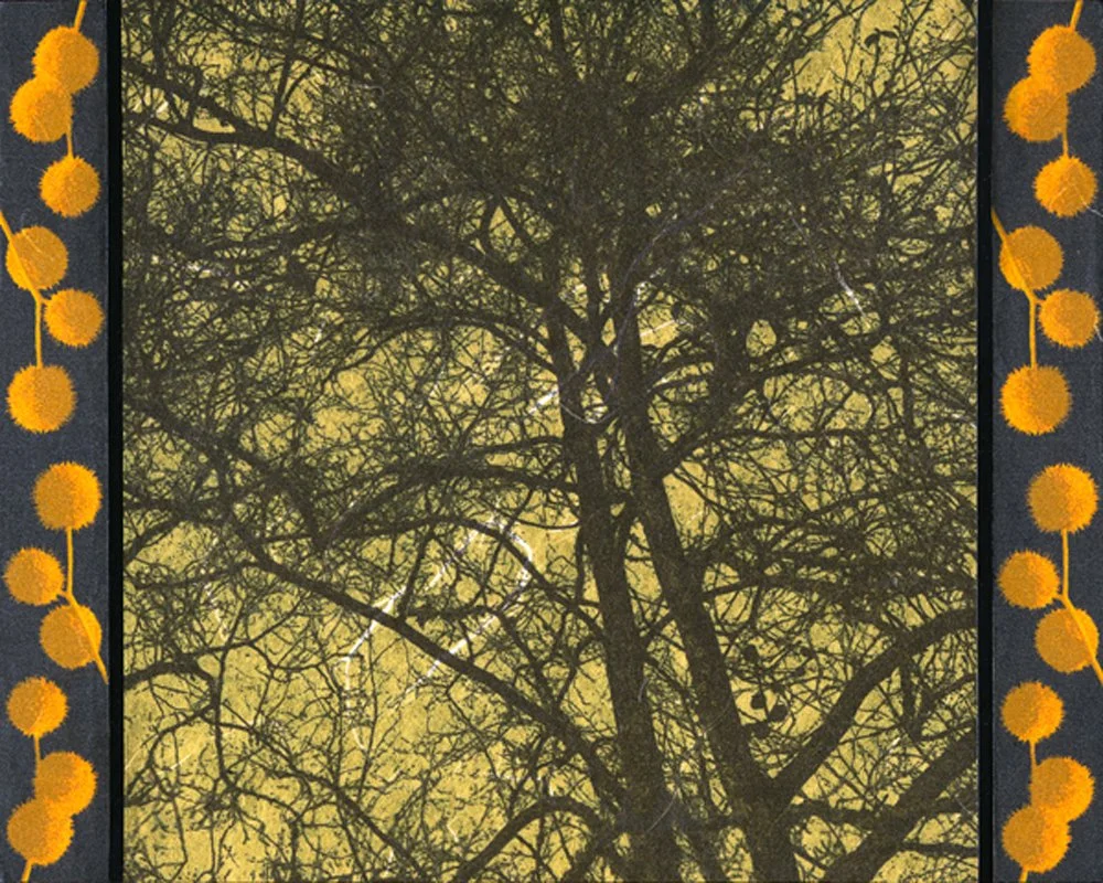 KOTLER_8x10_Sycamore+Gold+.jpg