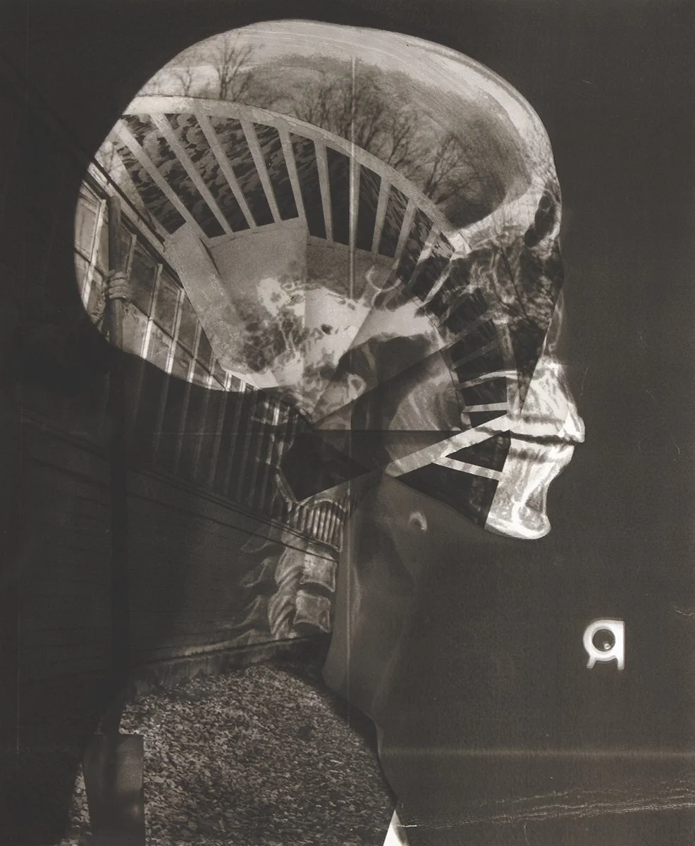 Lauren+Rayburn_16_22x13_22x1_22_Untitled+(Skull).jpg
