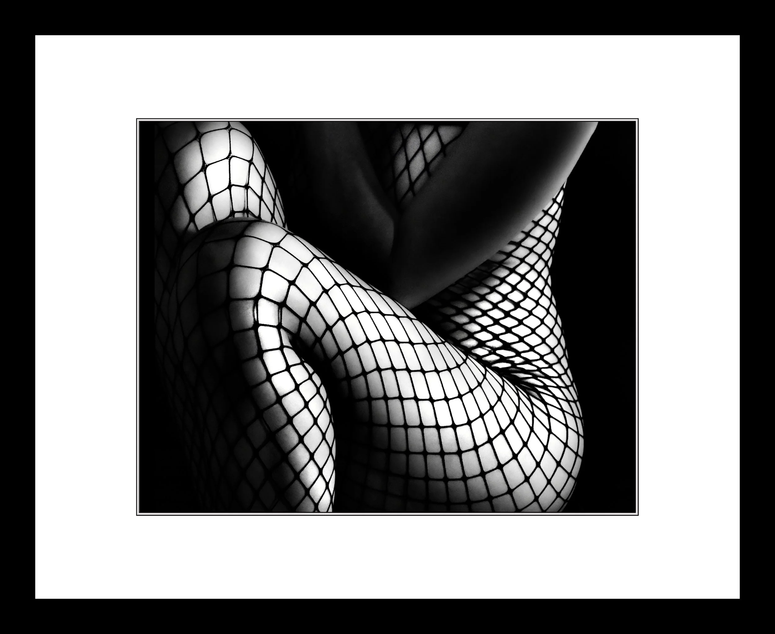 Netted+20x16_Catlin.jpg