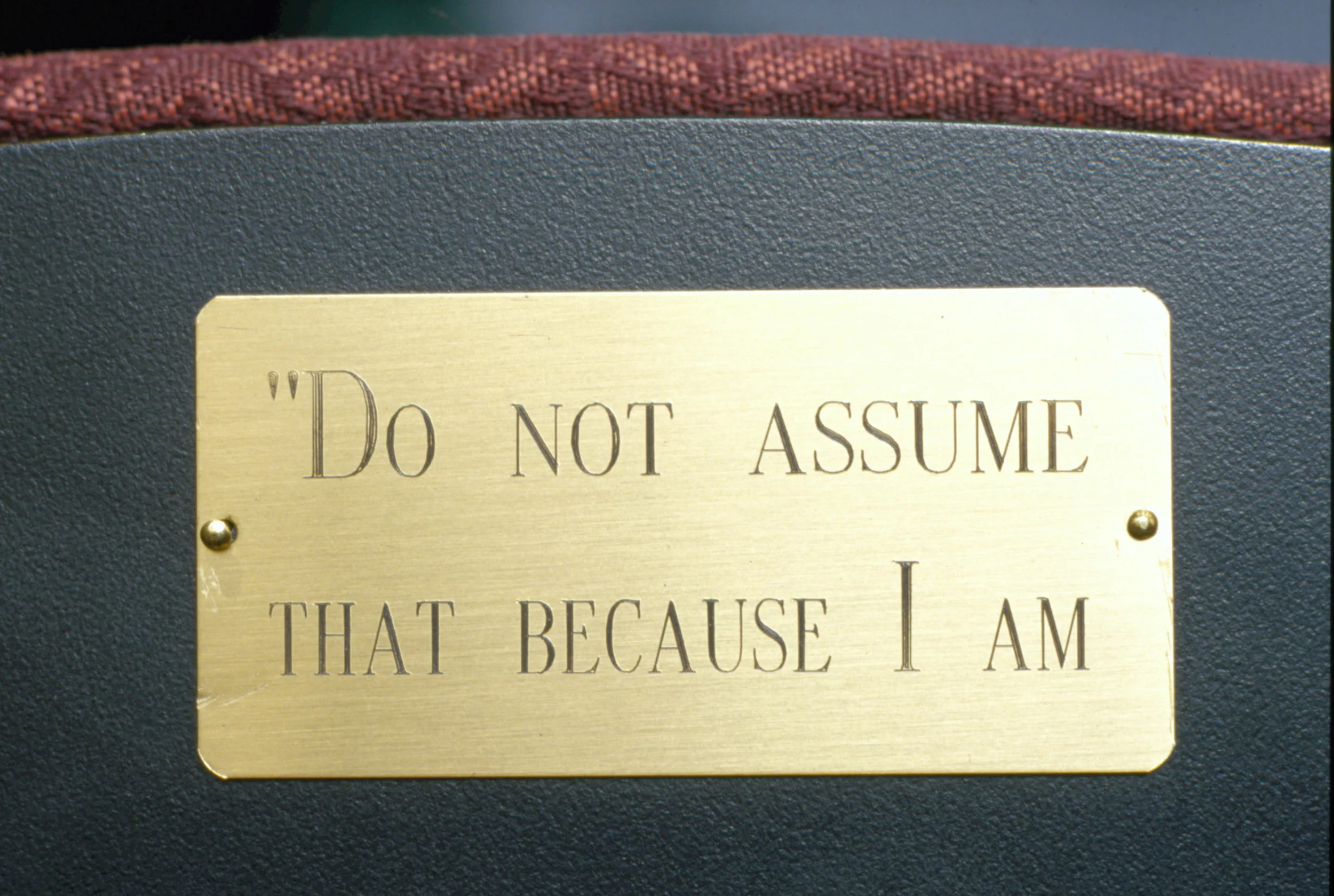 Do Not Assume (detail)