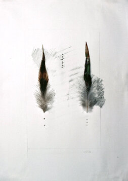 Untitled Feathers #13