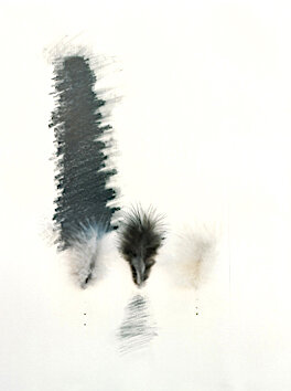 Untitled Feathers #14