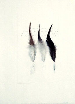Untitled Feathers #16