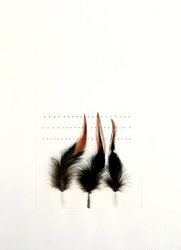 Untitled Feathers #11