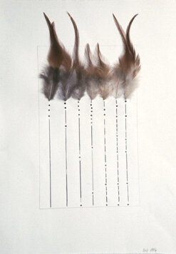 Untitled Feathers #12