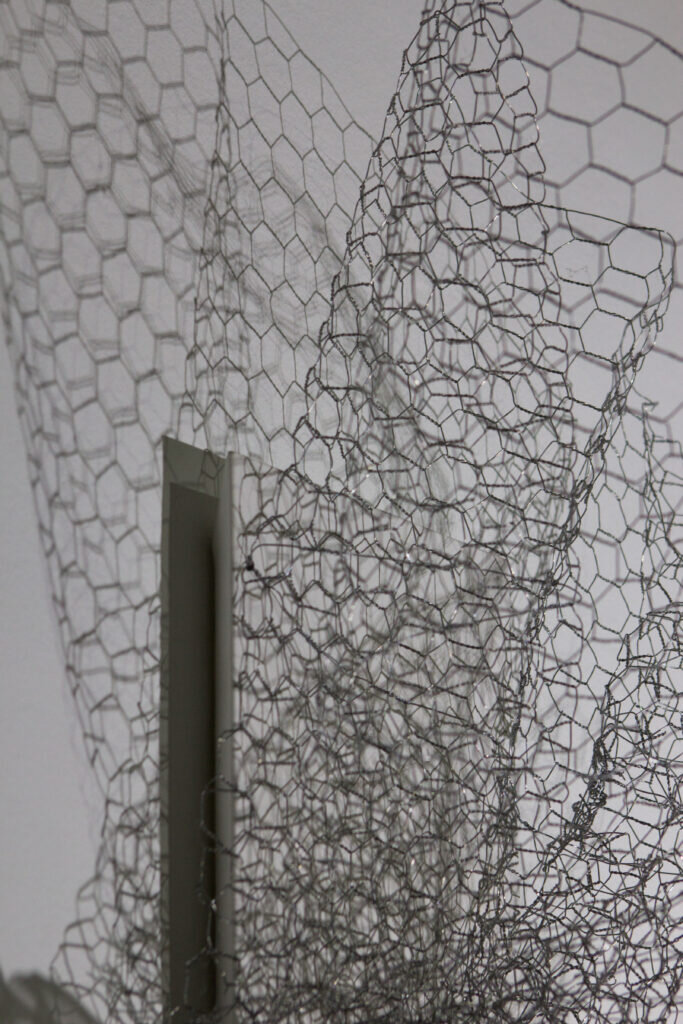 Detail: Mesh #28 (Anemone)