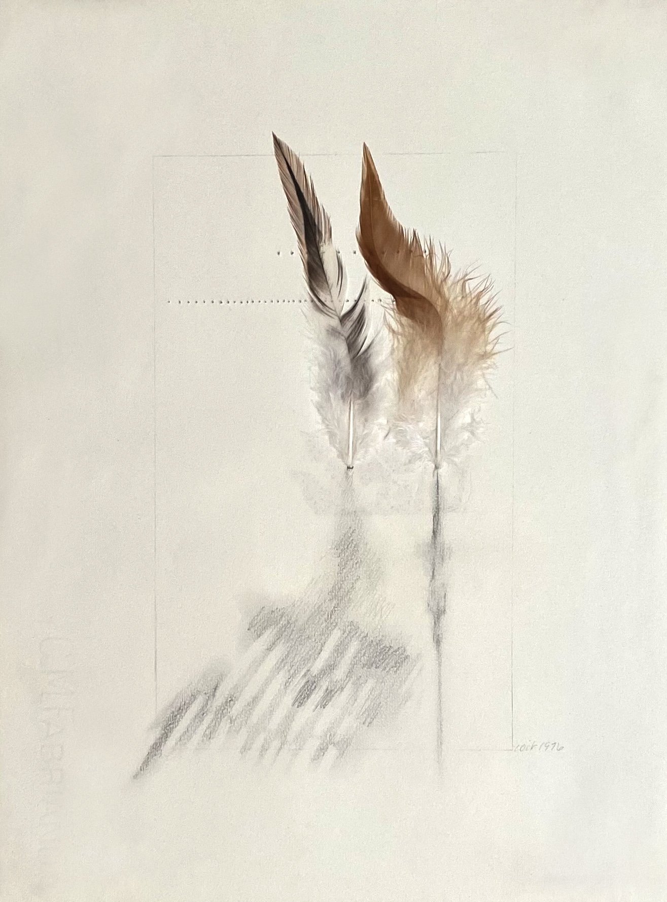 Untitled Feathers #1