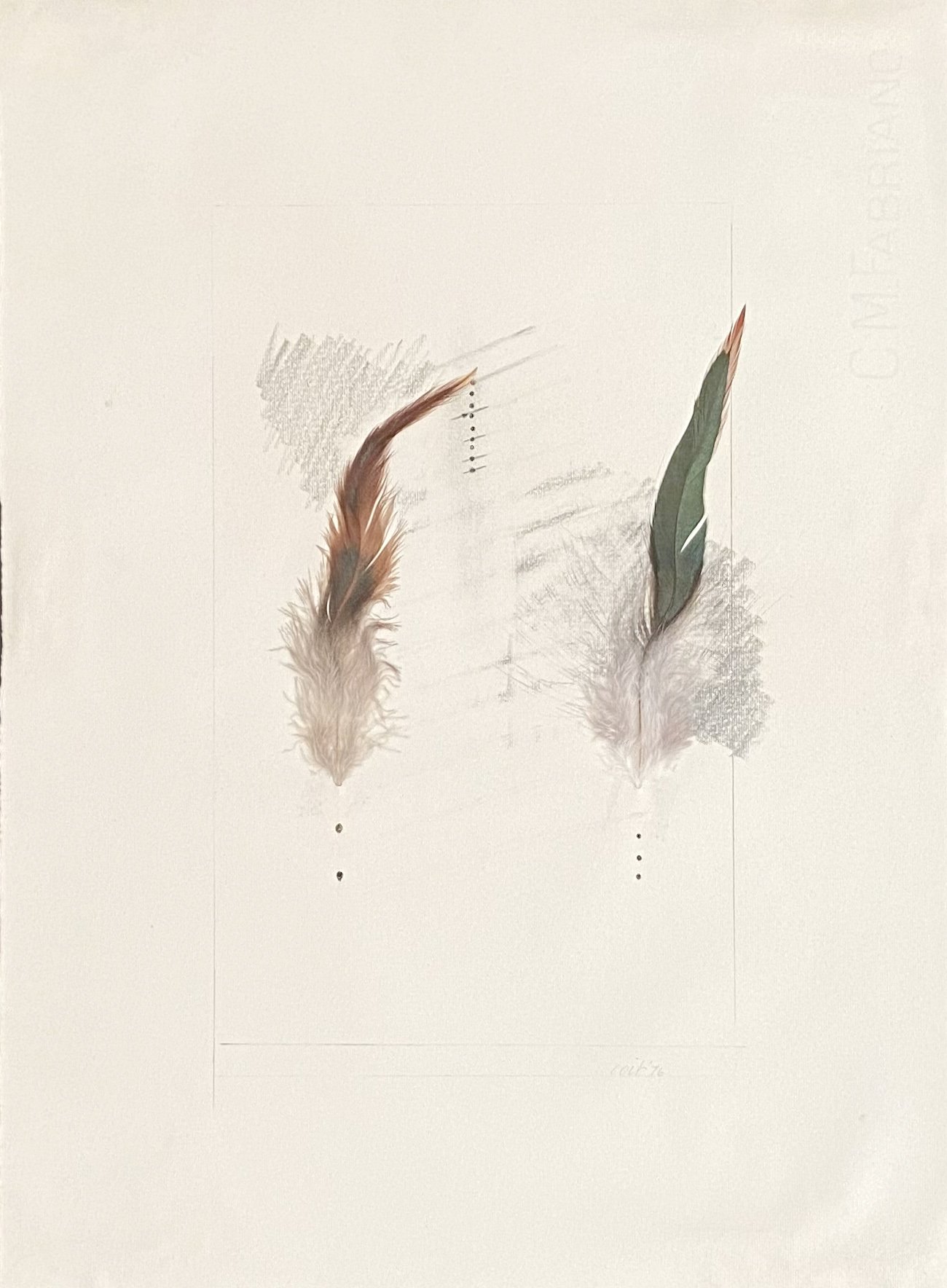 Untitled Feathers #4