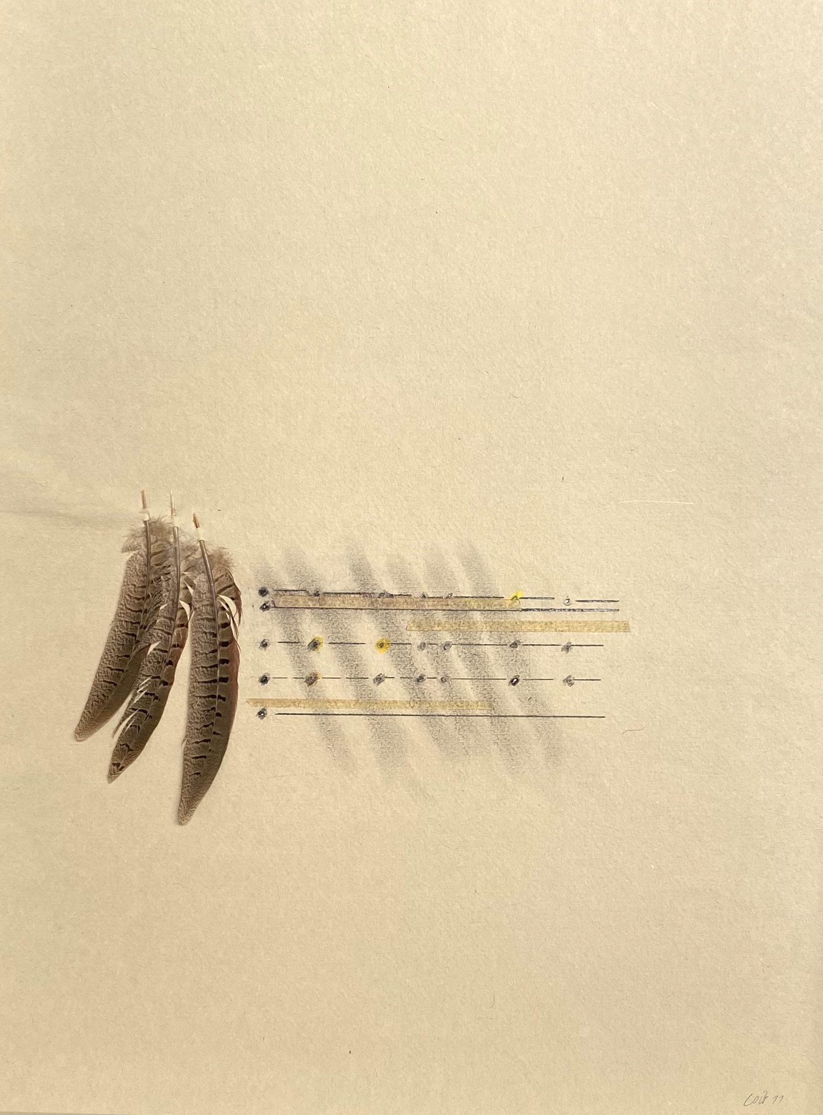 Untitled Feathers #9