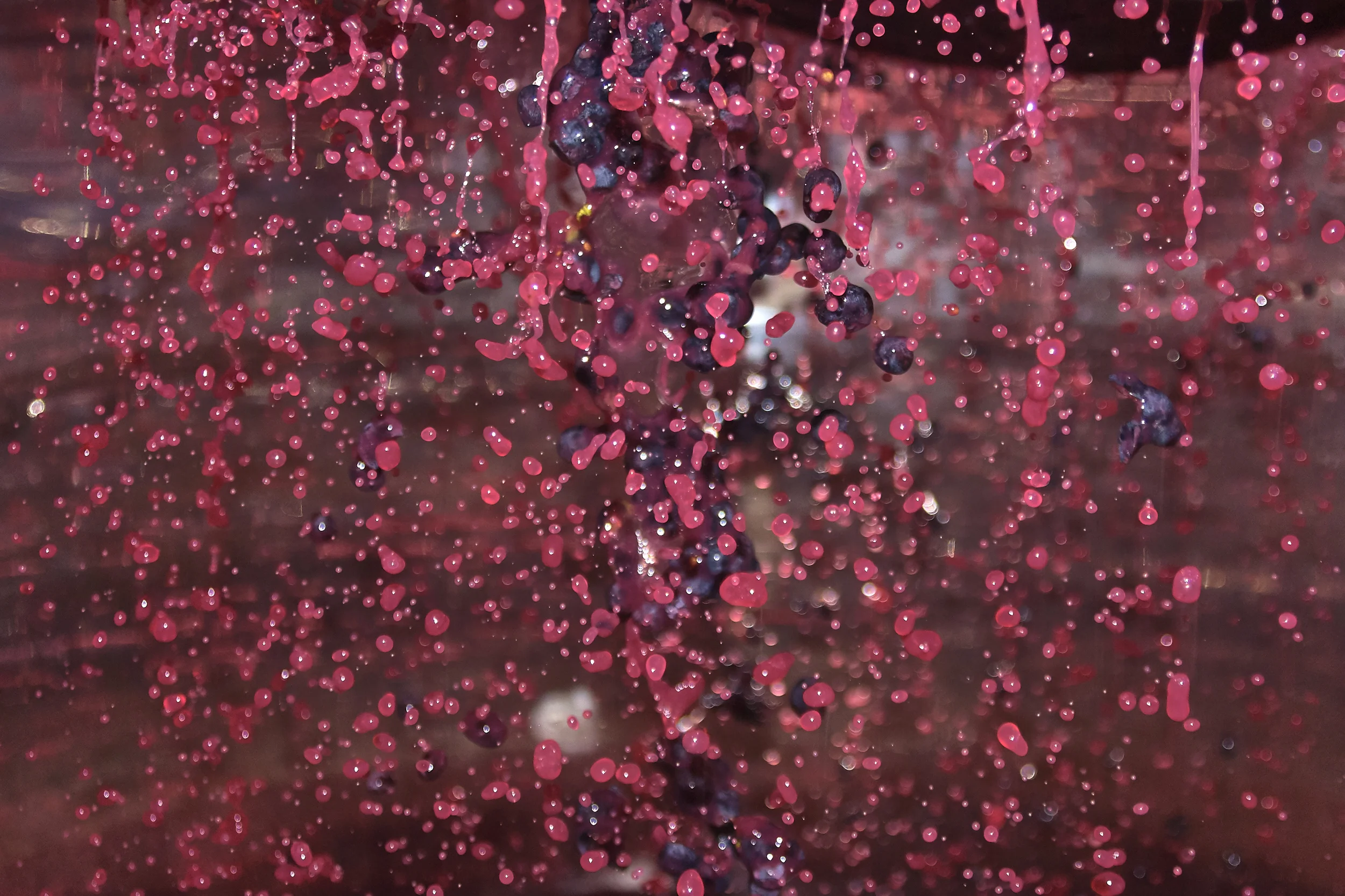 better home copy.jpg