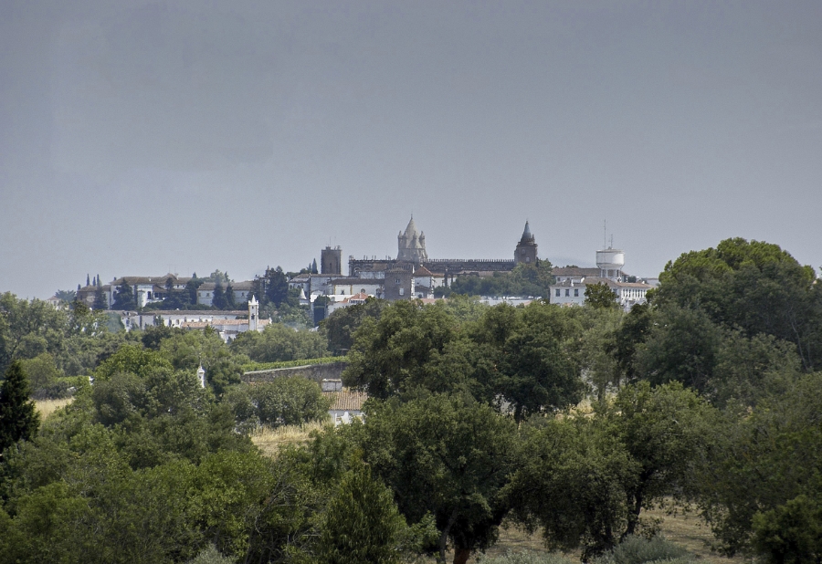  Our vineyard is overlooked by the ancient roman city of Evora, where the hot arid summers of the Alentejo contribute to the deep red color and rich spicy flavors of Dona Dorinda. 