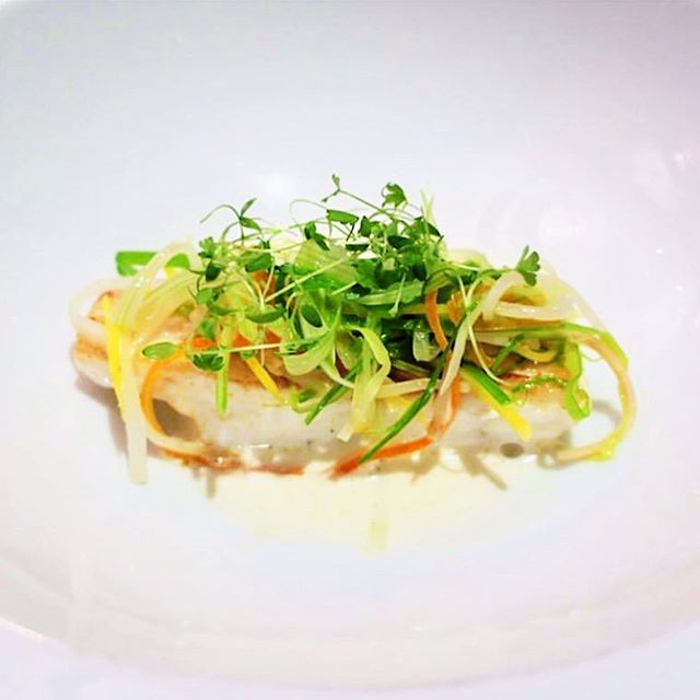 Roasted Wild Turbot Filet with Vegetable Julienne. Classic for a reason. #seegerstyle 
Thank you to @four_calendar_cafe for the beautiful photo