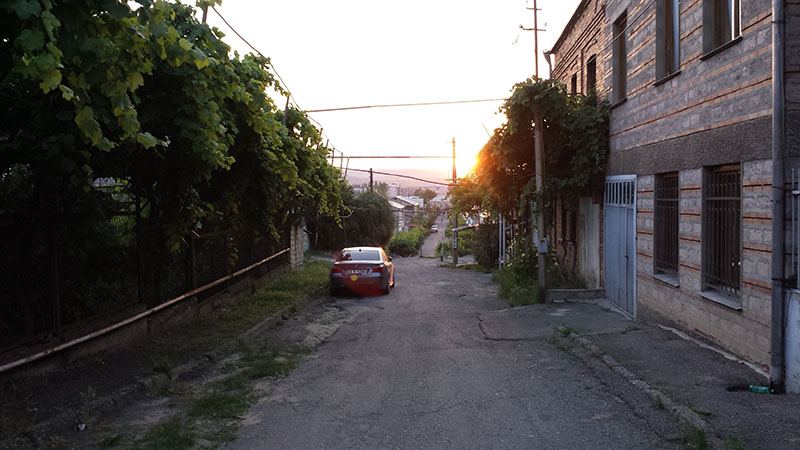 A slightly more lush than normal street in Gori.