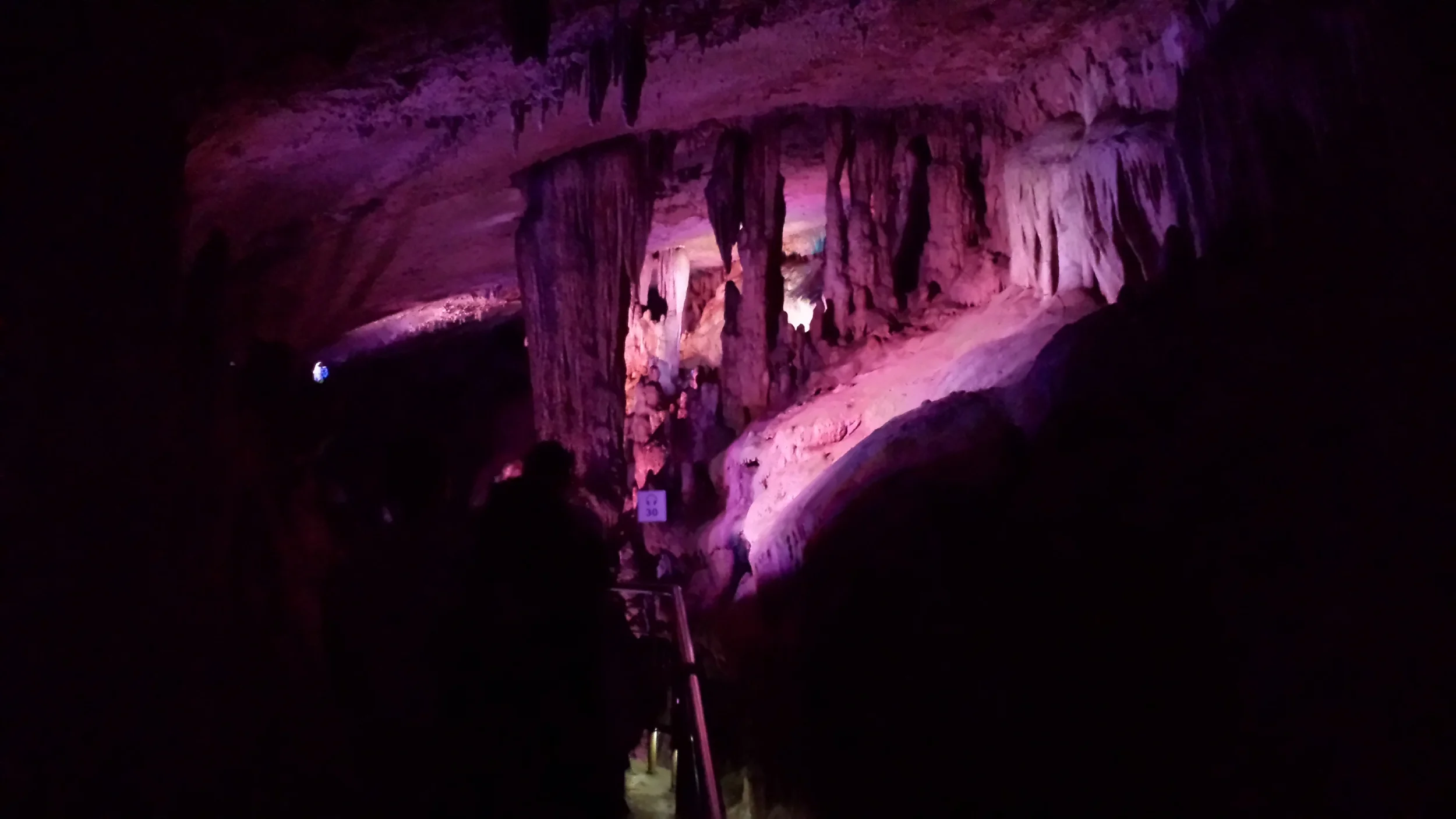 Caves, Honey, and Dinosaurs