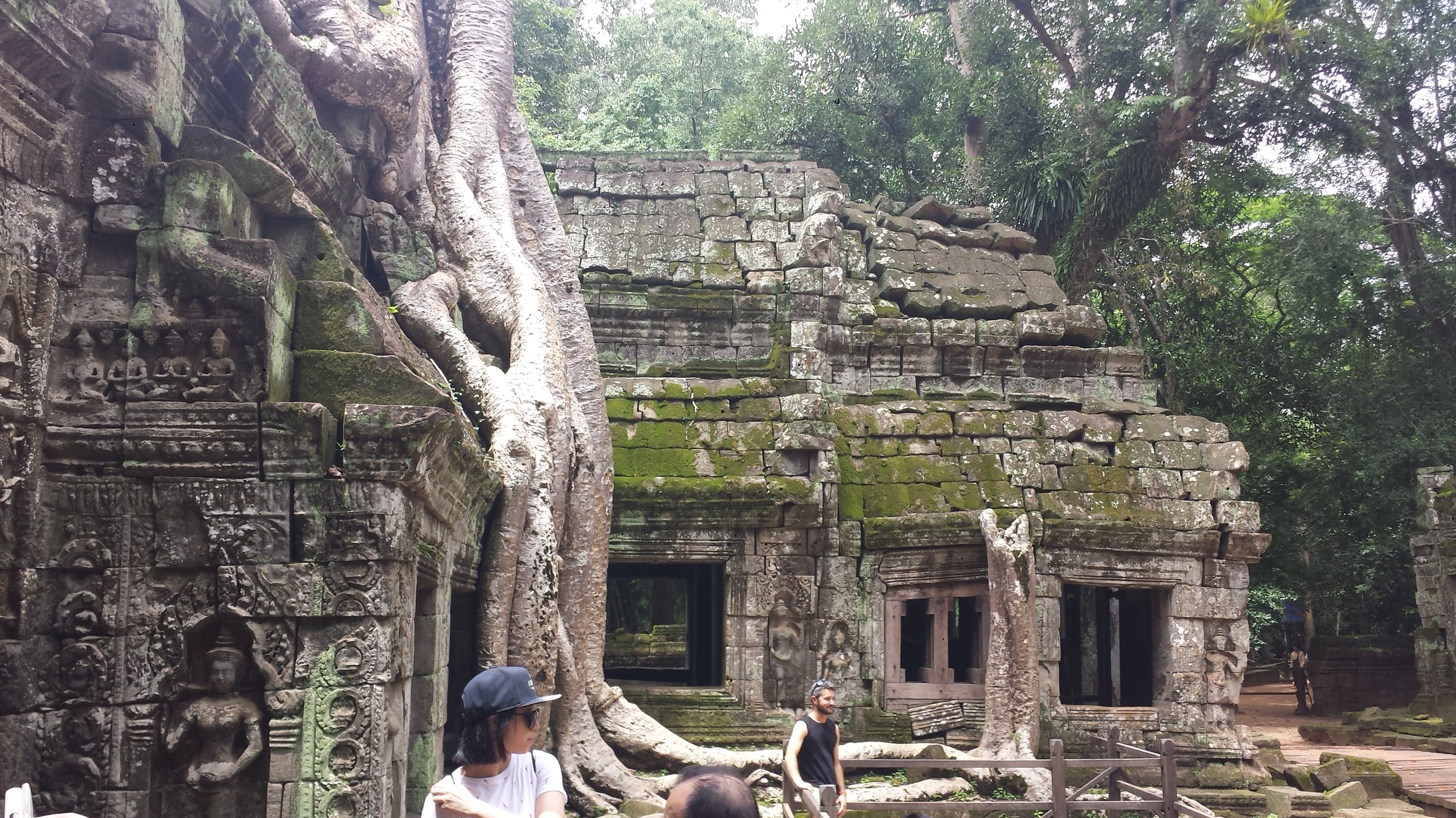 Obligatory photo of famous sponge tree growing over ruins.