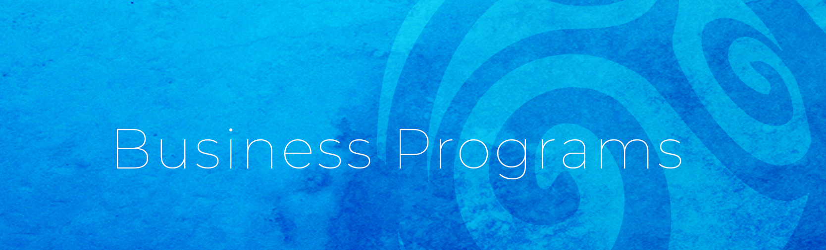BusinessProgs.png