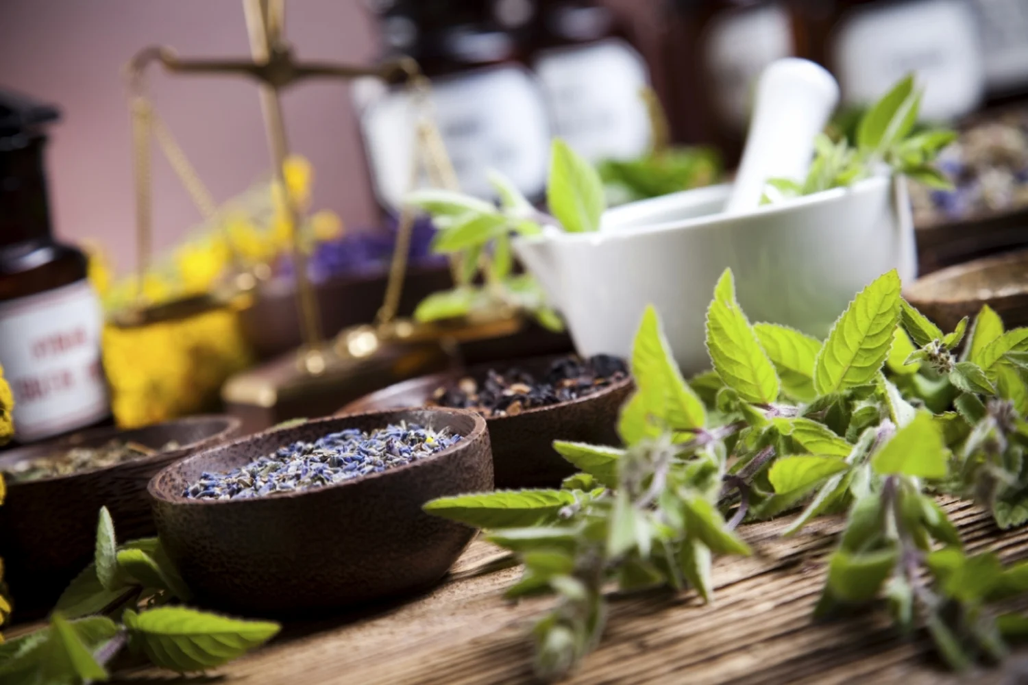 Pure and potent, and utilizing the finest extraction methods - Herban Theory herbal supplements deliver fully digestible and absorbable multi-spectrum components where needed.