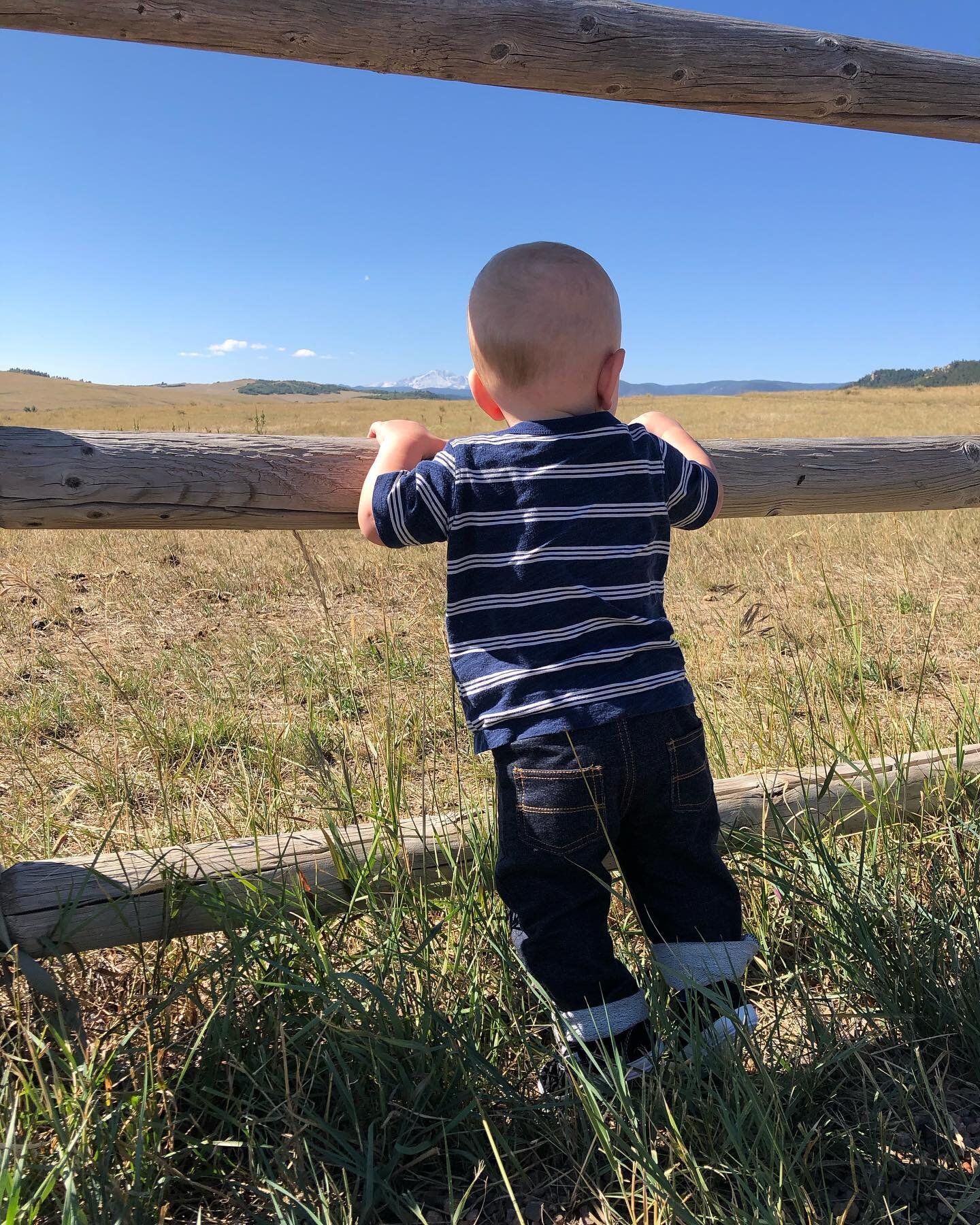 It was a great weekend! Charlie waved for the first time and climbed his first rock! He is cruising right through his 10th month. It&rsquo;s all going so fast! 😳
&bull;
&bull;
&bull;
#palmerlake 
#pikespeak 
#getoutstayout 
#gerberbaby 
#coloradospr