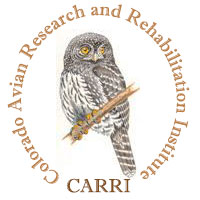 Colorado Avian Research and Rehabilitation Institute
