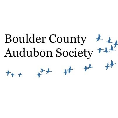 BOULDER AUDUBON LOGO.jpeg